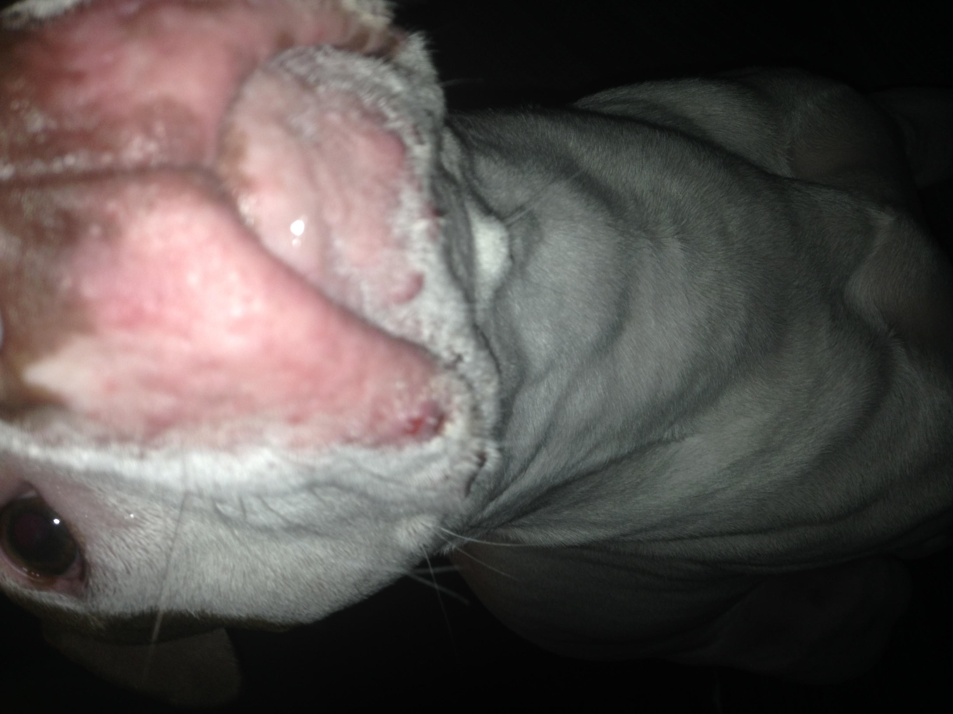 Question details sensitive content