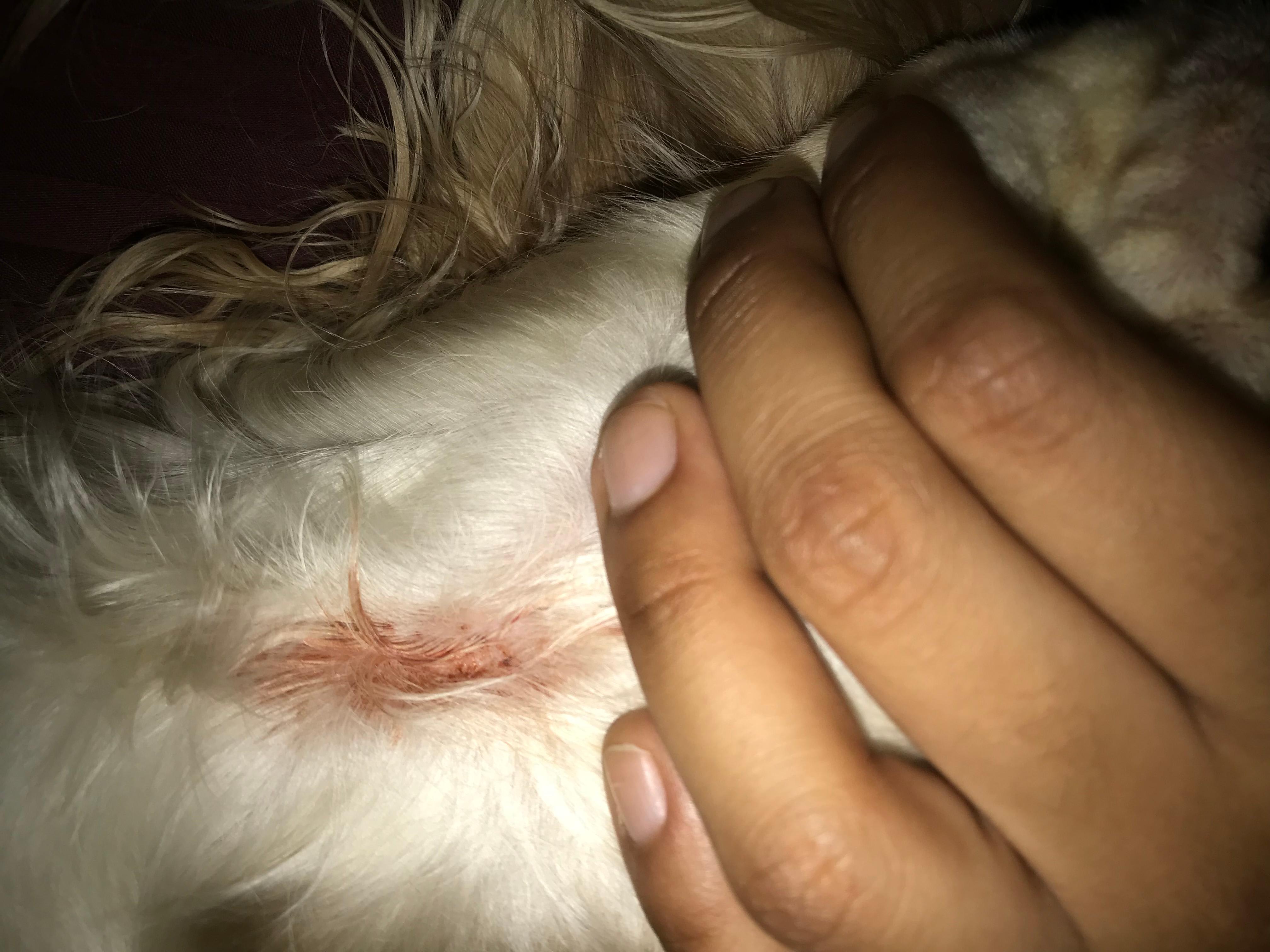 Question details sensitive content