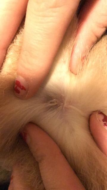 Question details sensitive content