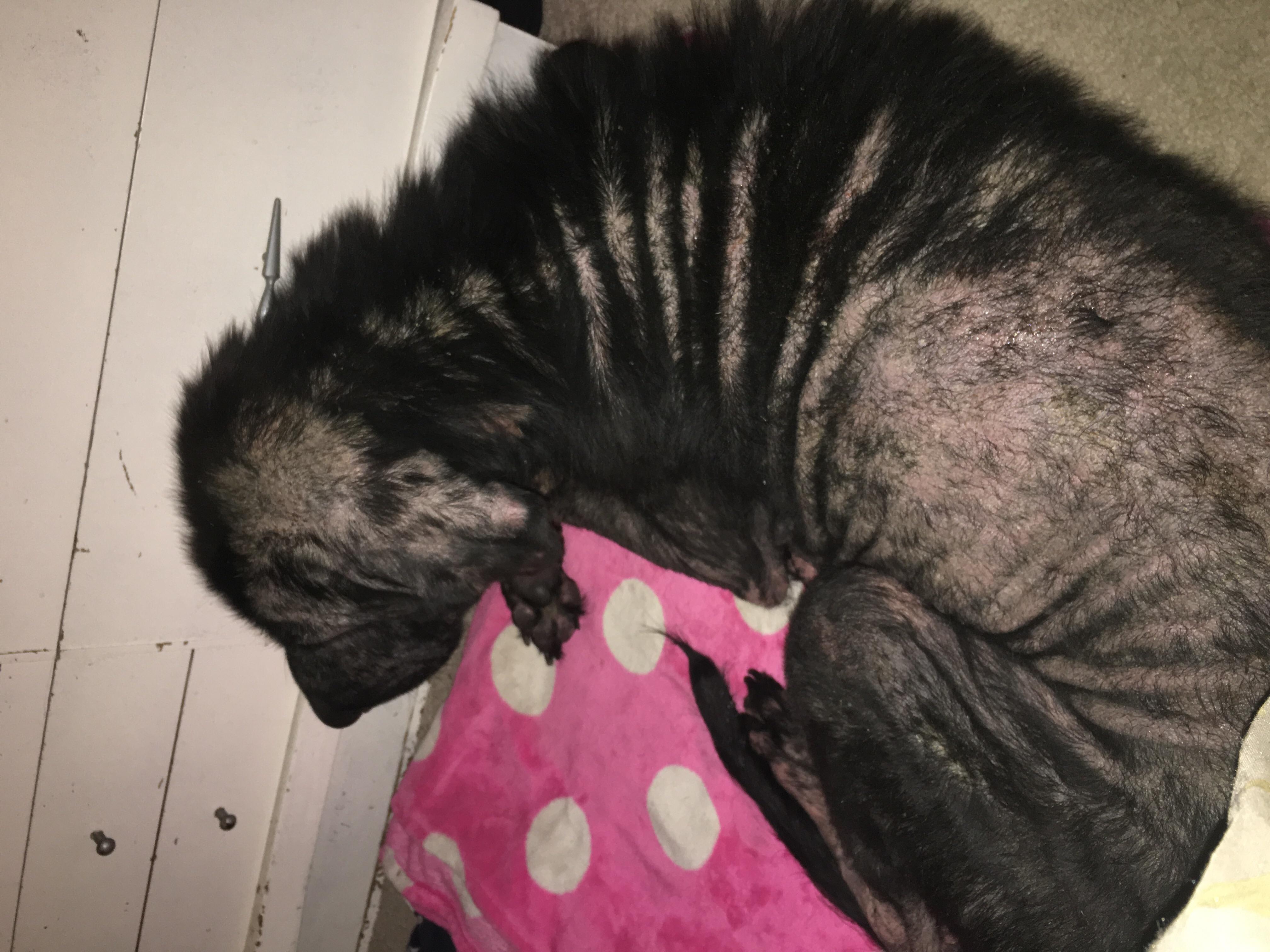 Question details sensitive content