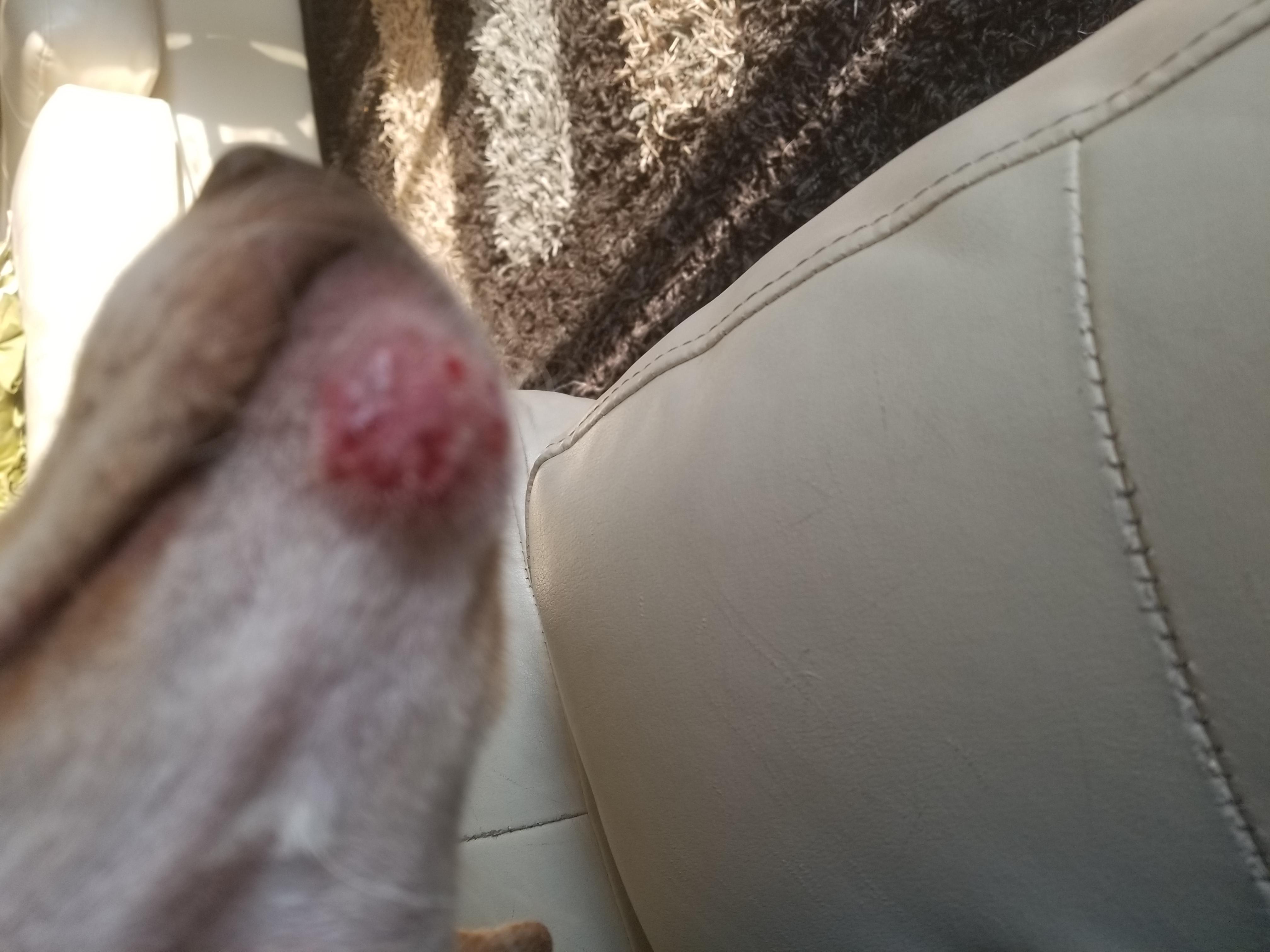 Question details sensitive content