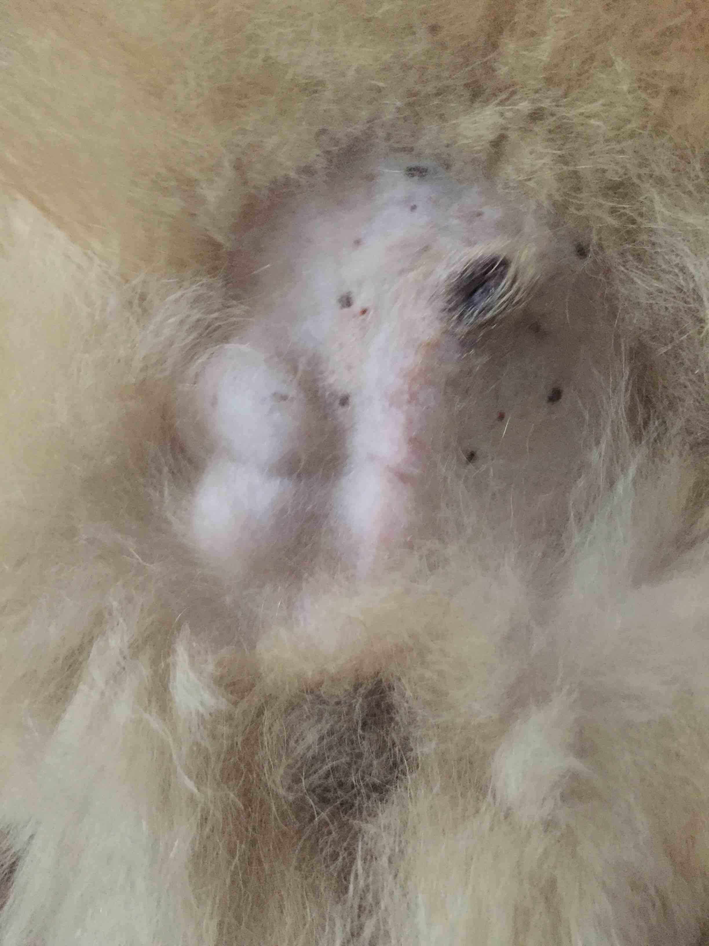 Question details sensitive content