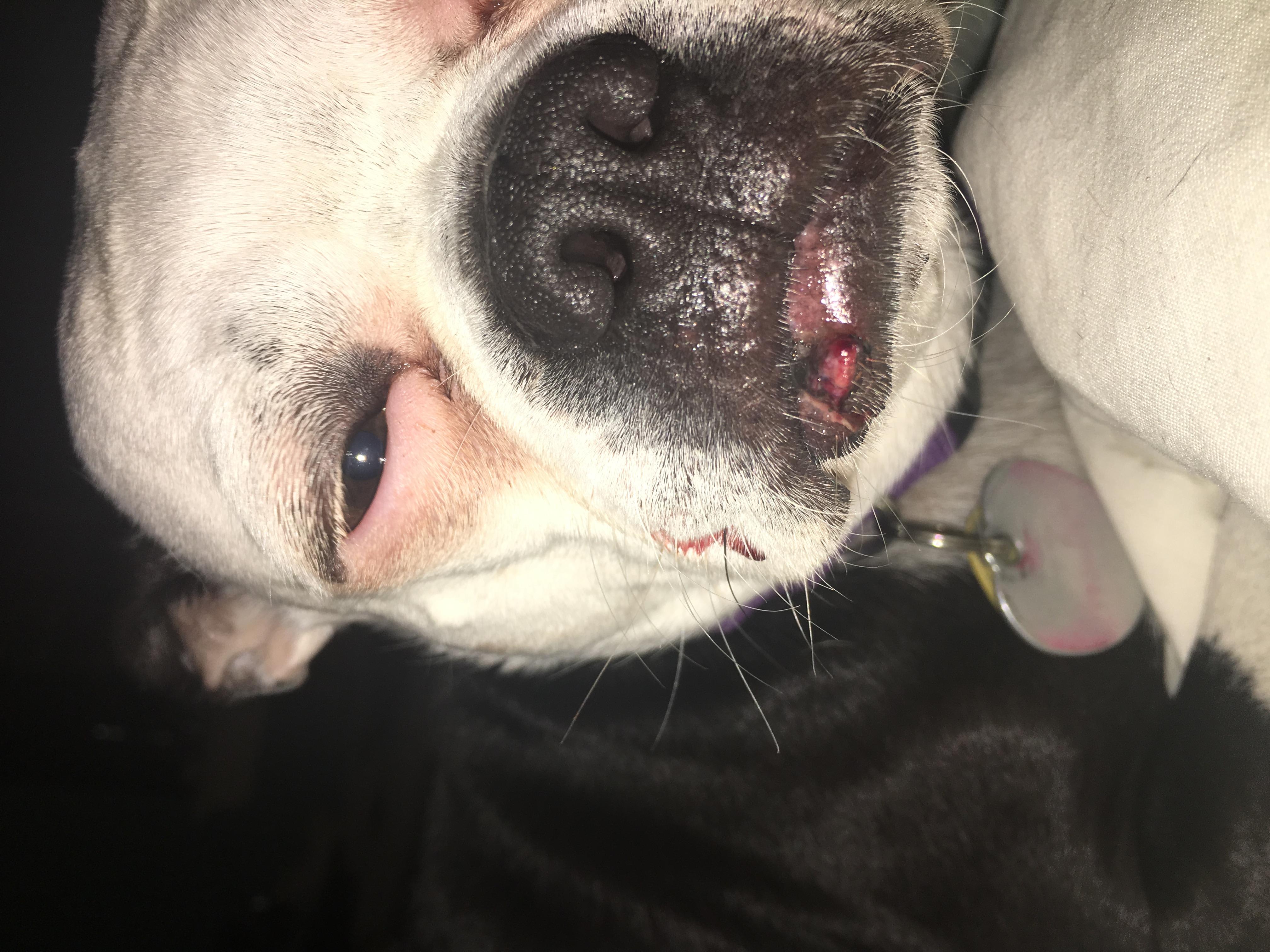 Question details sensitive content