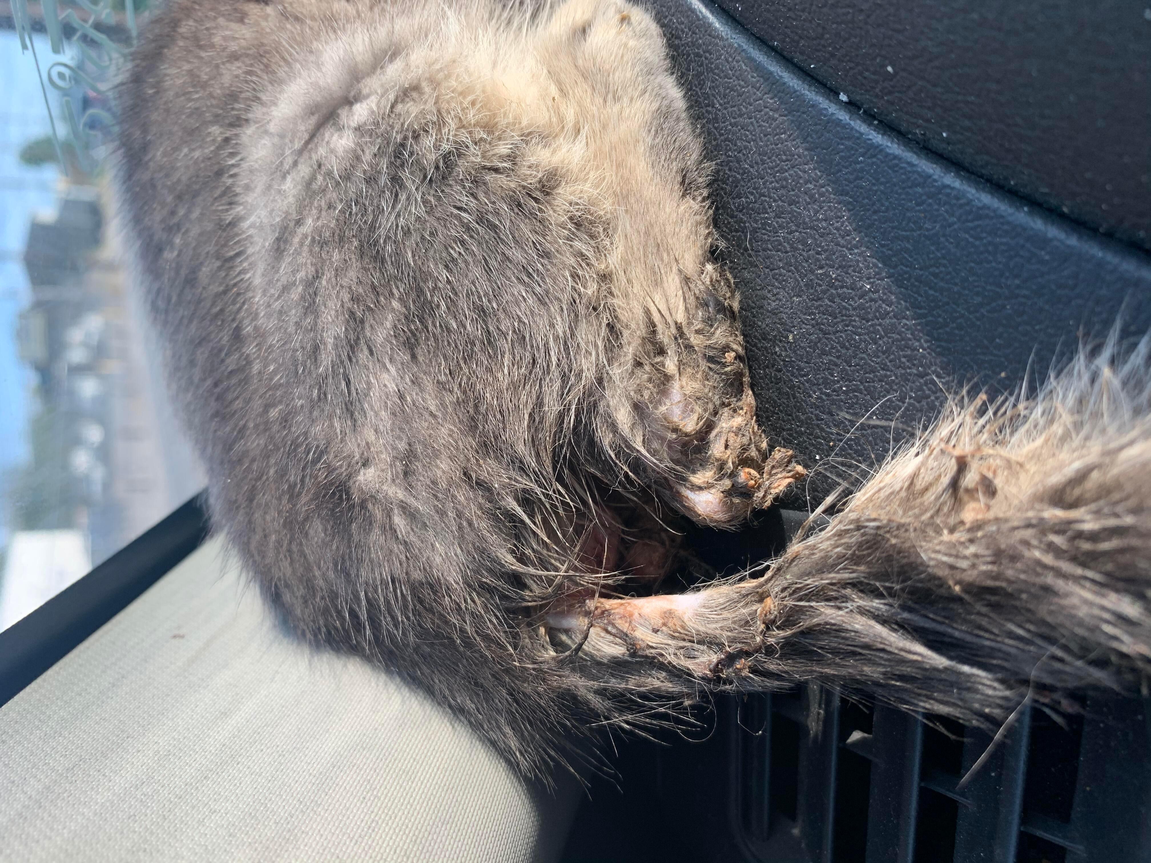 Question details sensitive content