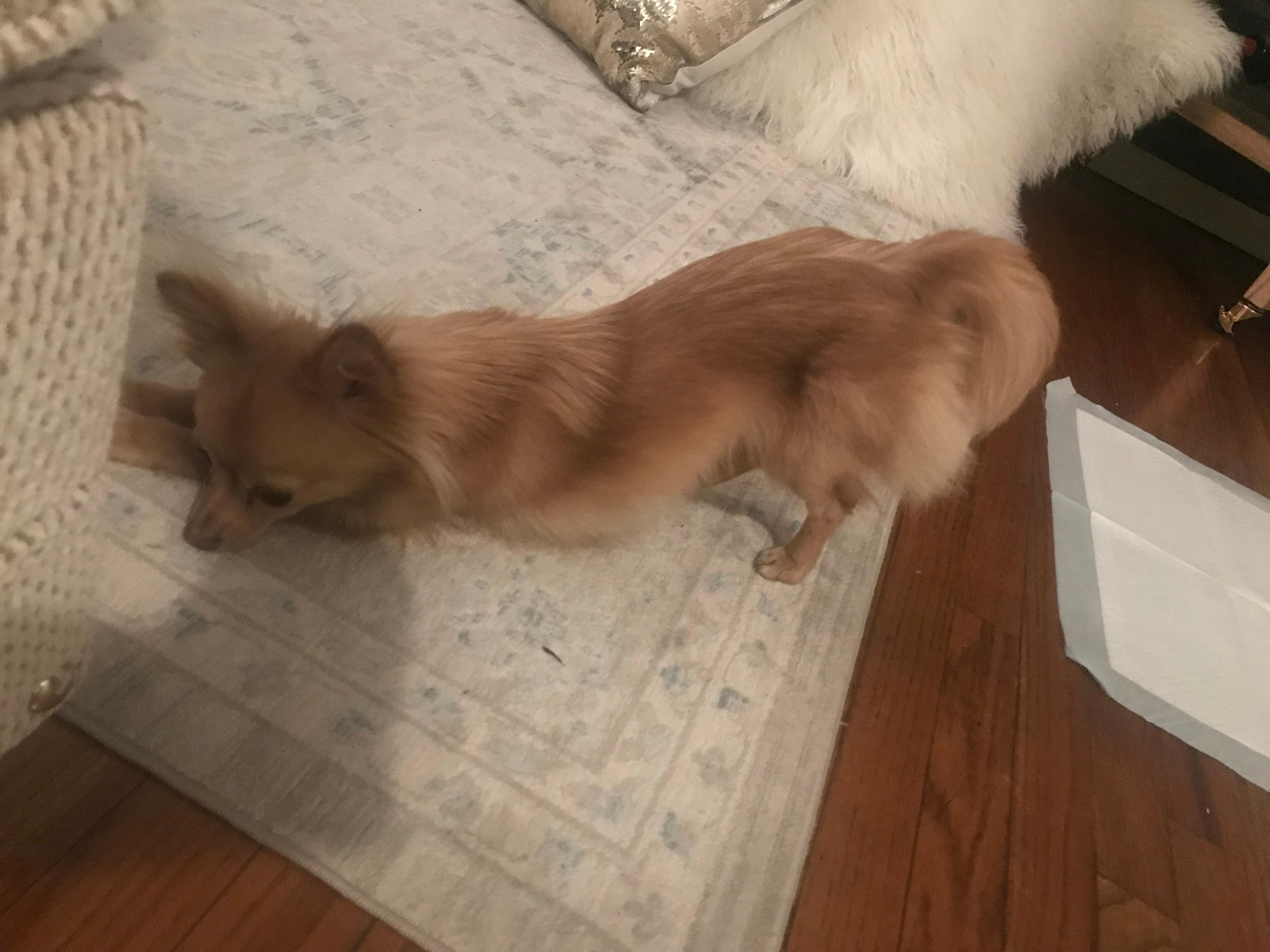 Question details sensitive content