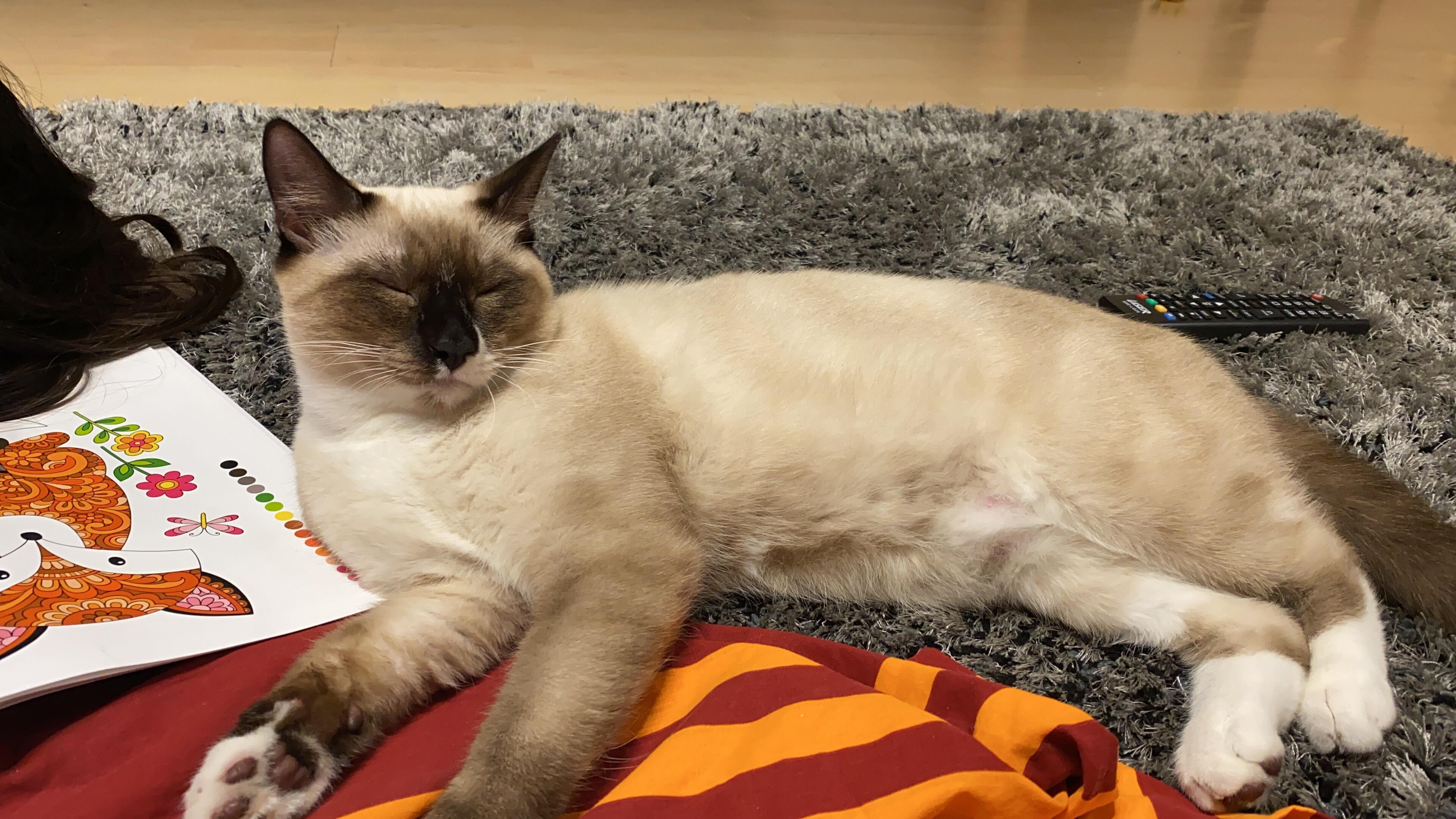 Question details sensitive content