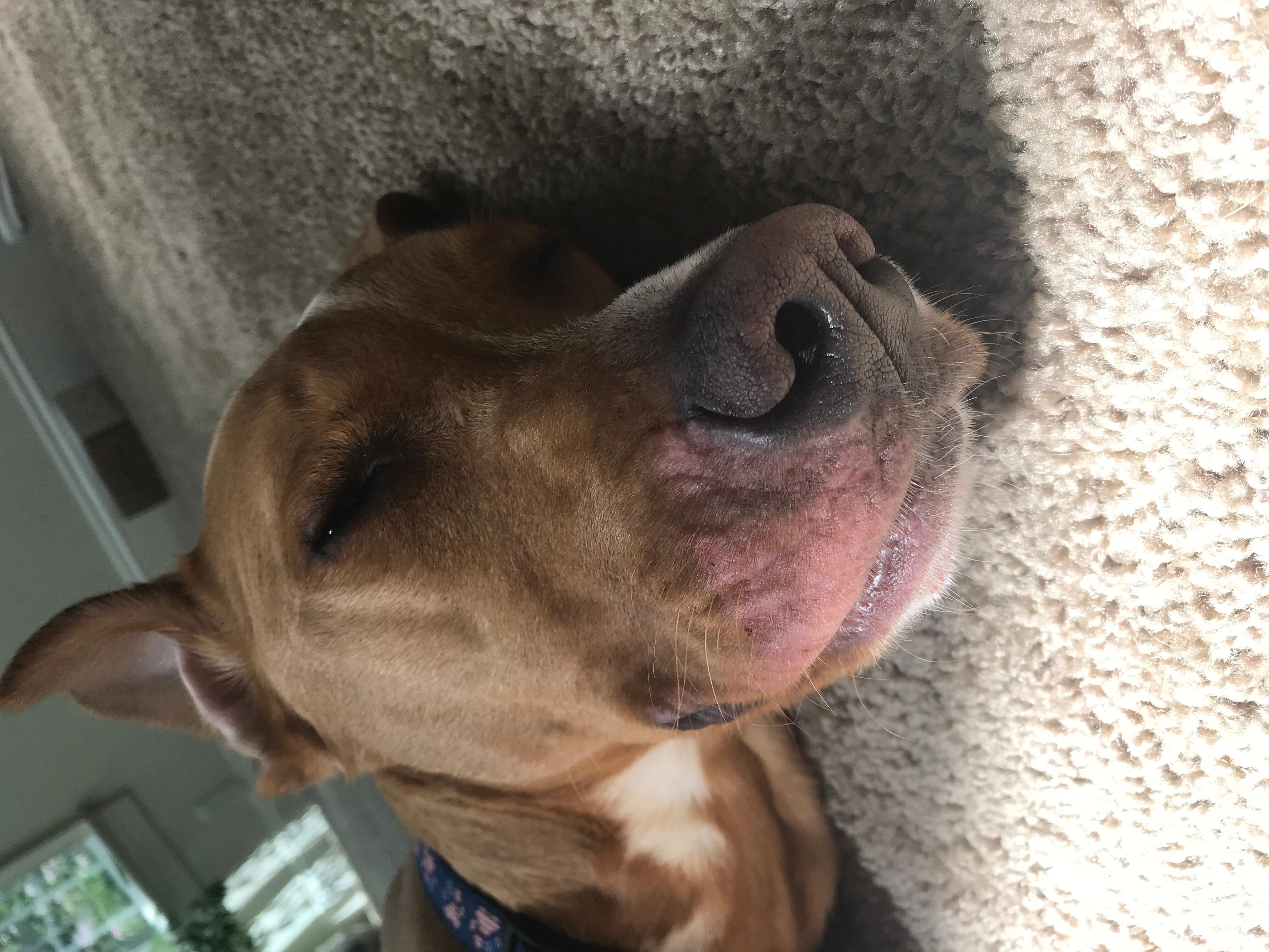 Question details sensitive content