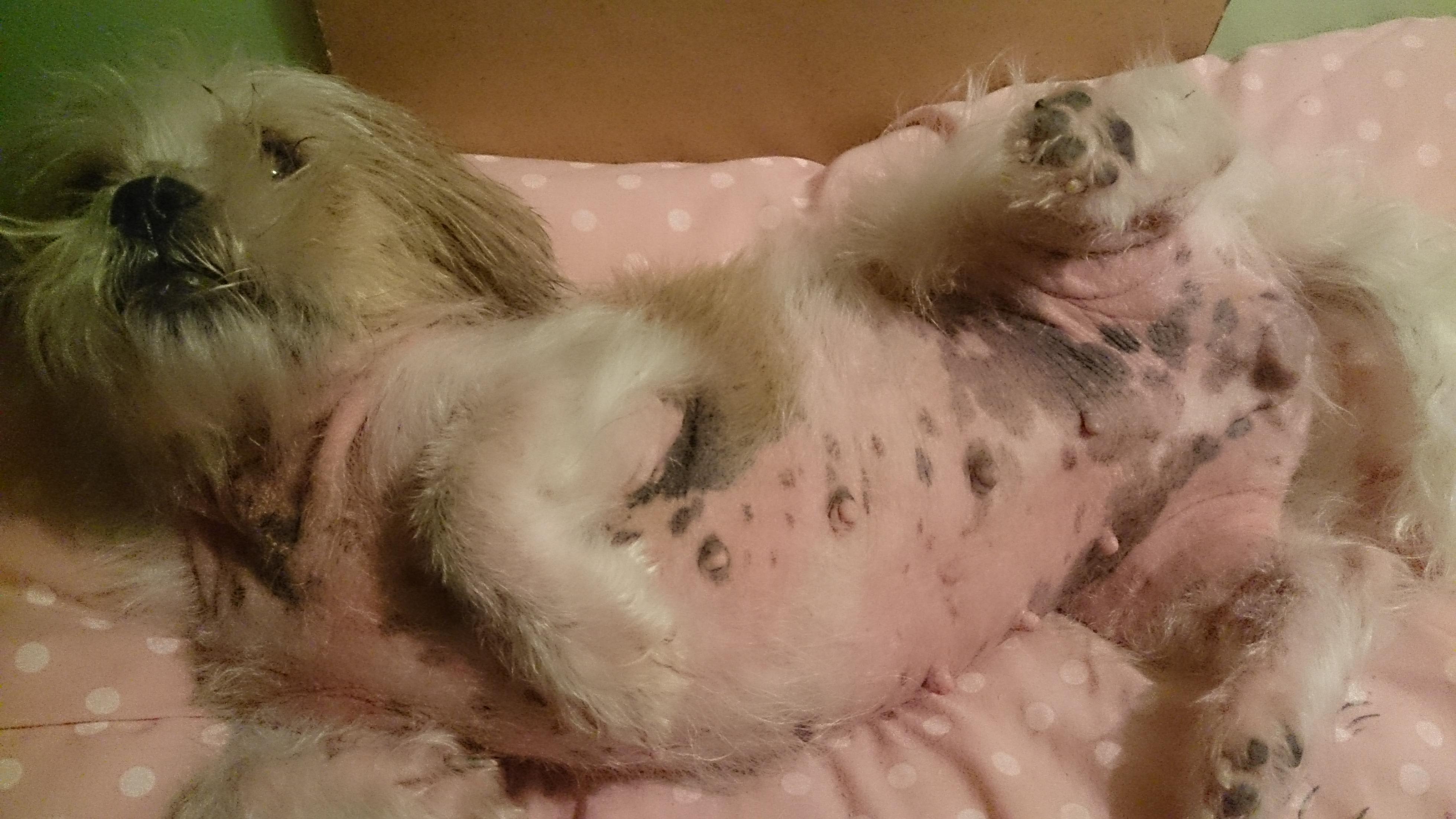 Question details sensitive content