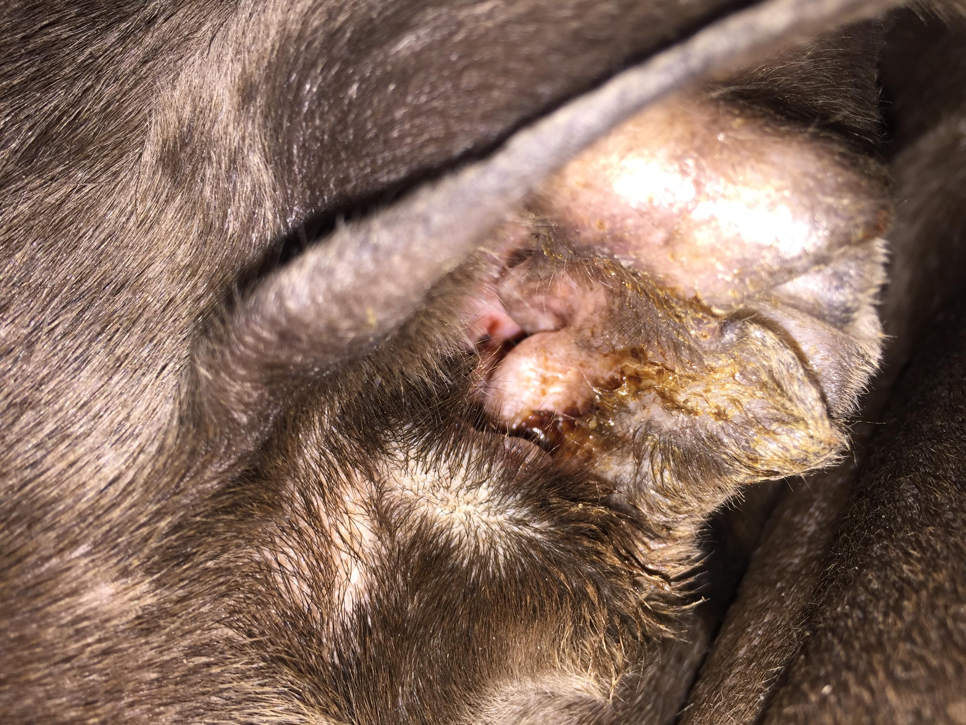 Question details sensitive content