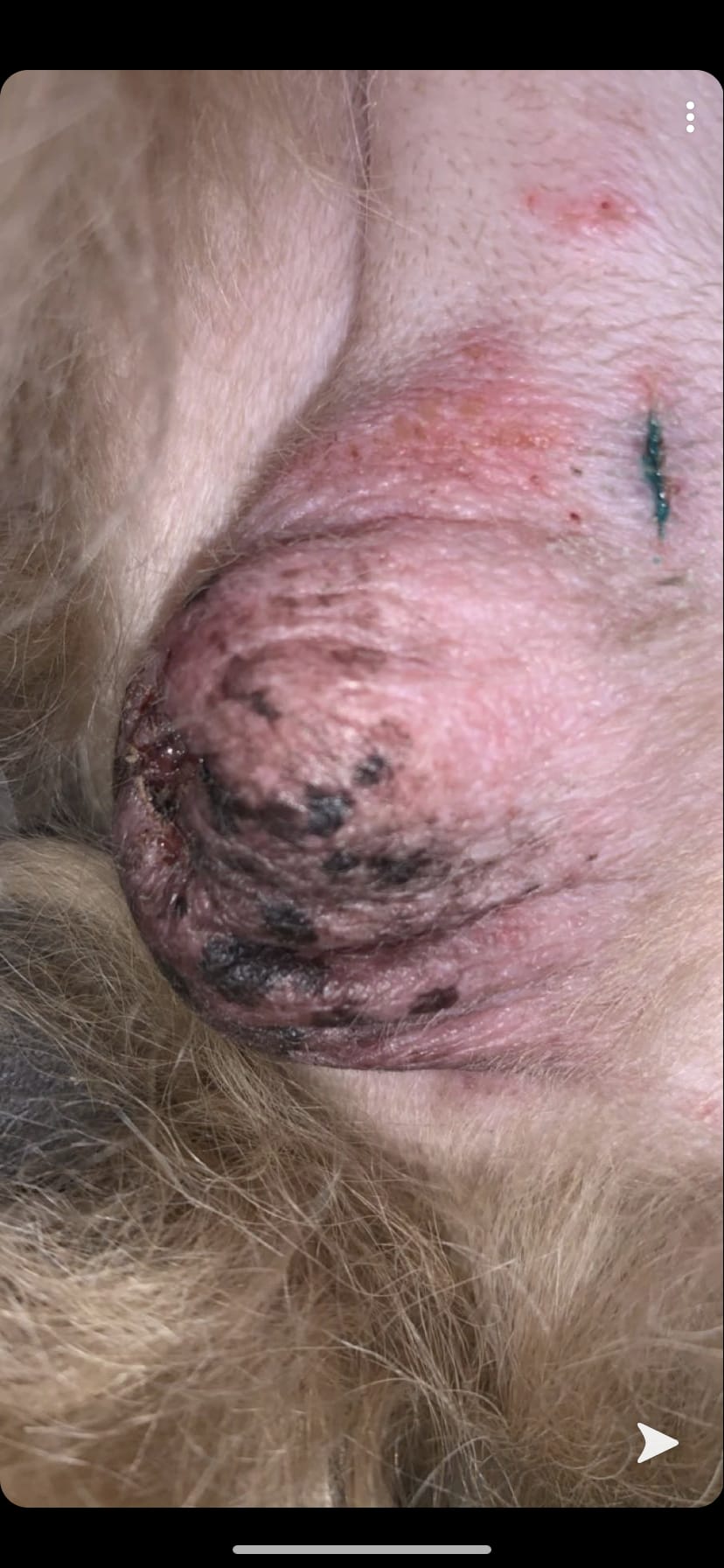 Question details sensitive content