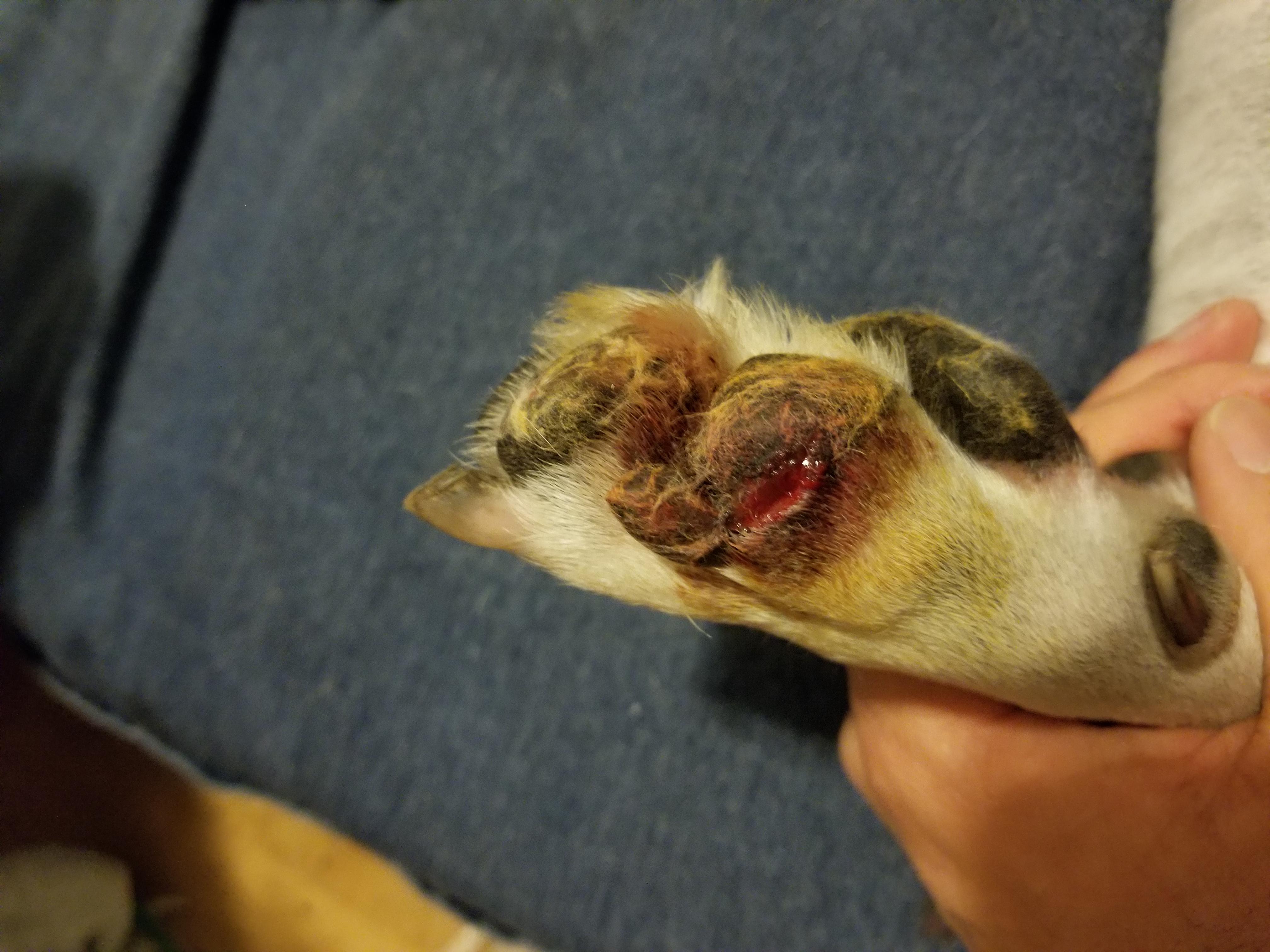 Question details sensitive content