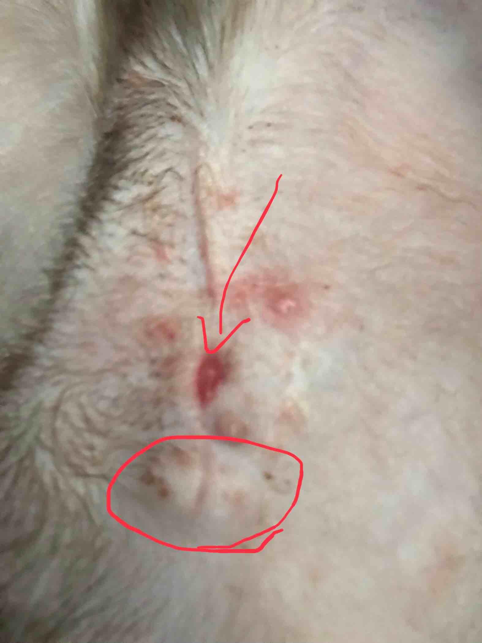 Question details sensitive content