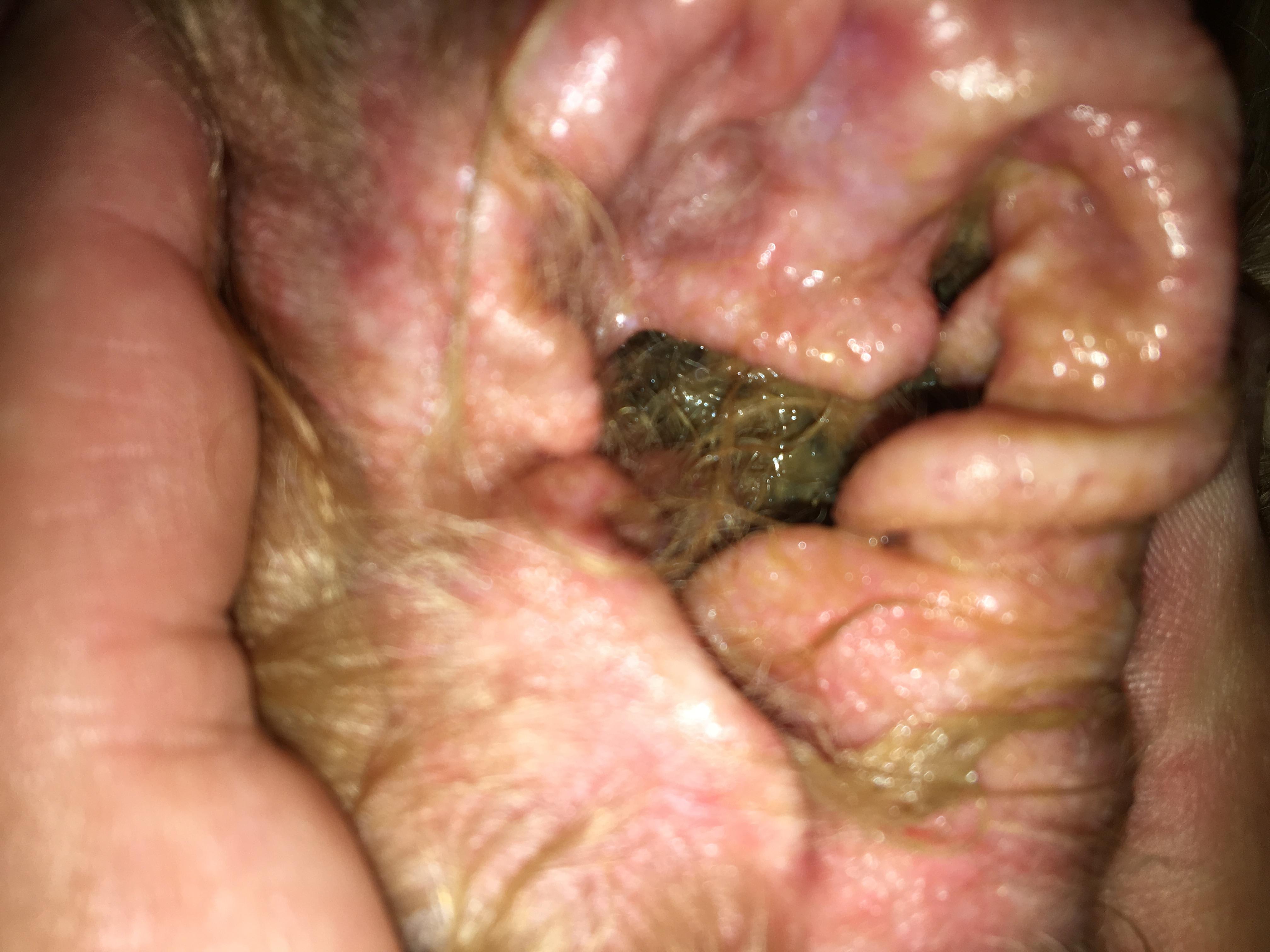 Question details sensitive content