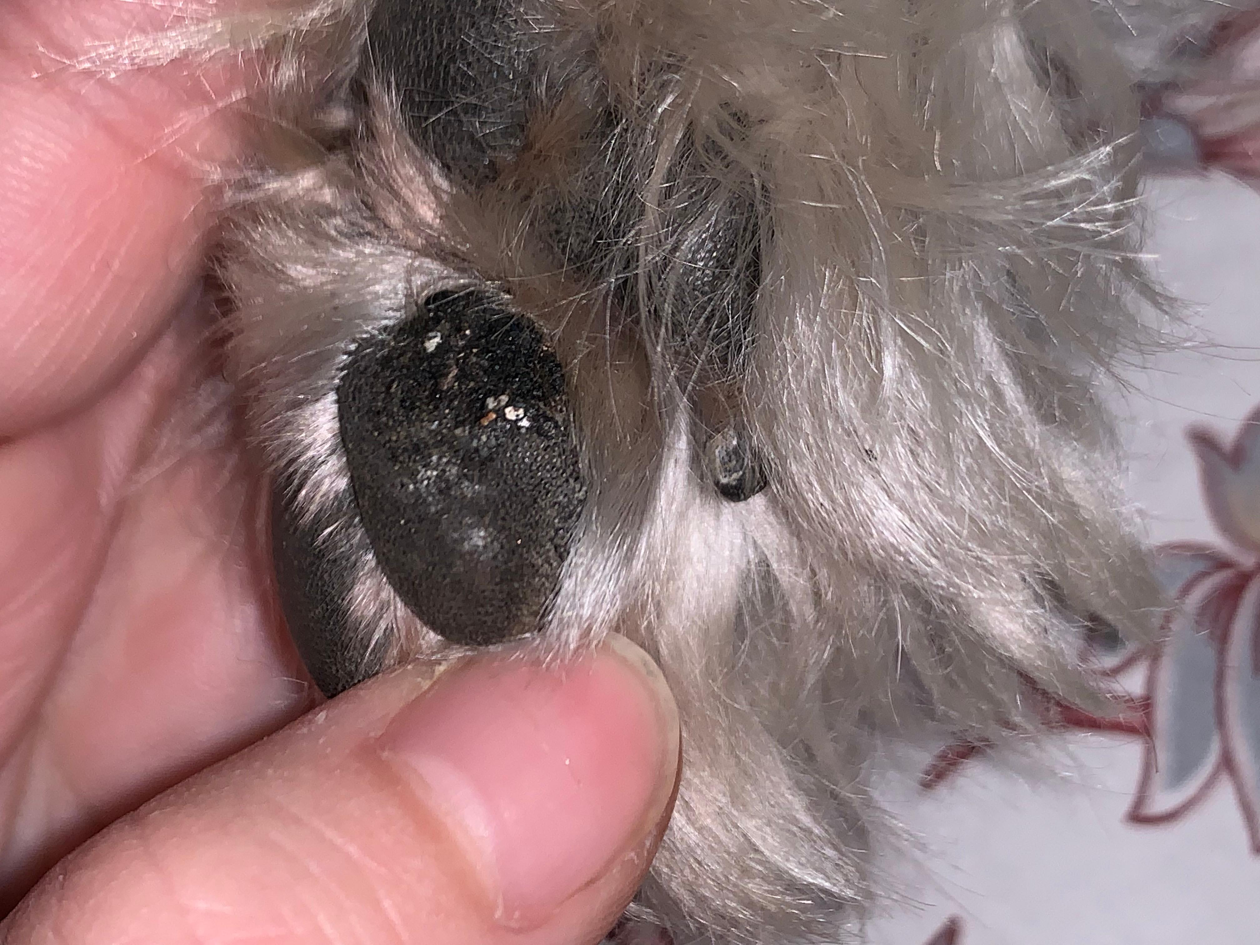 Question details sensitive content