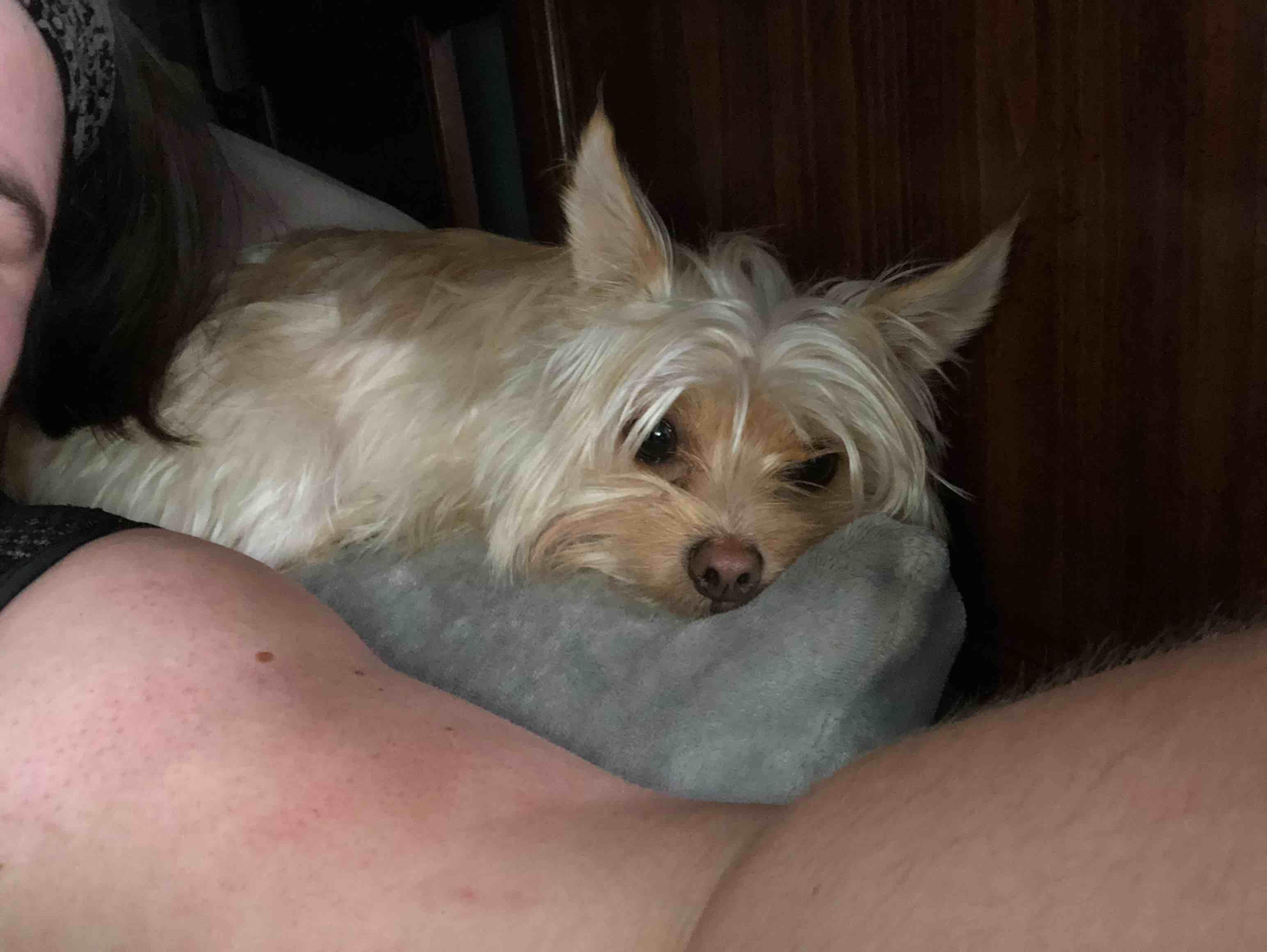 Question details sensitive content