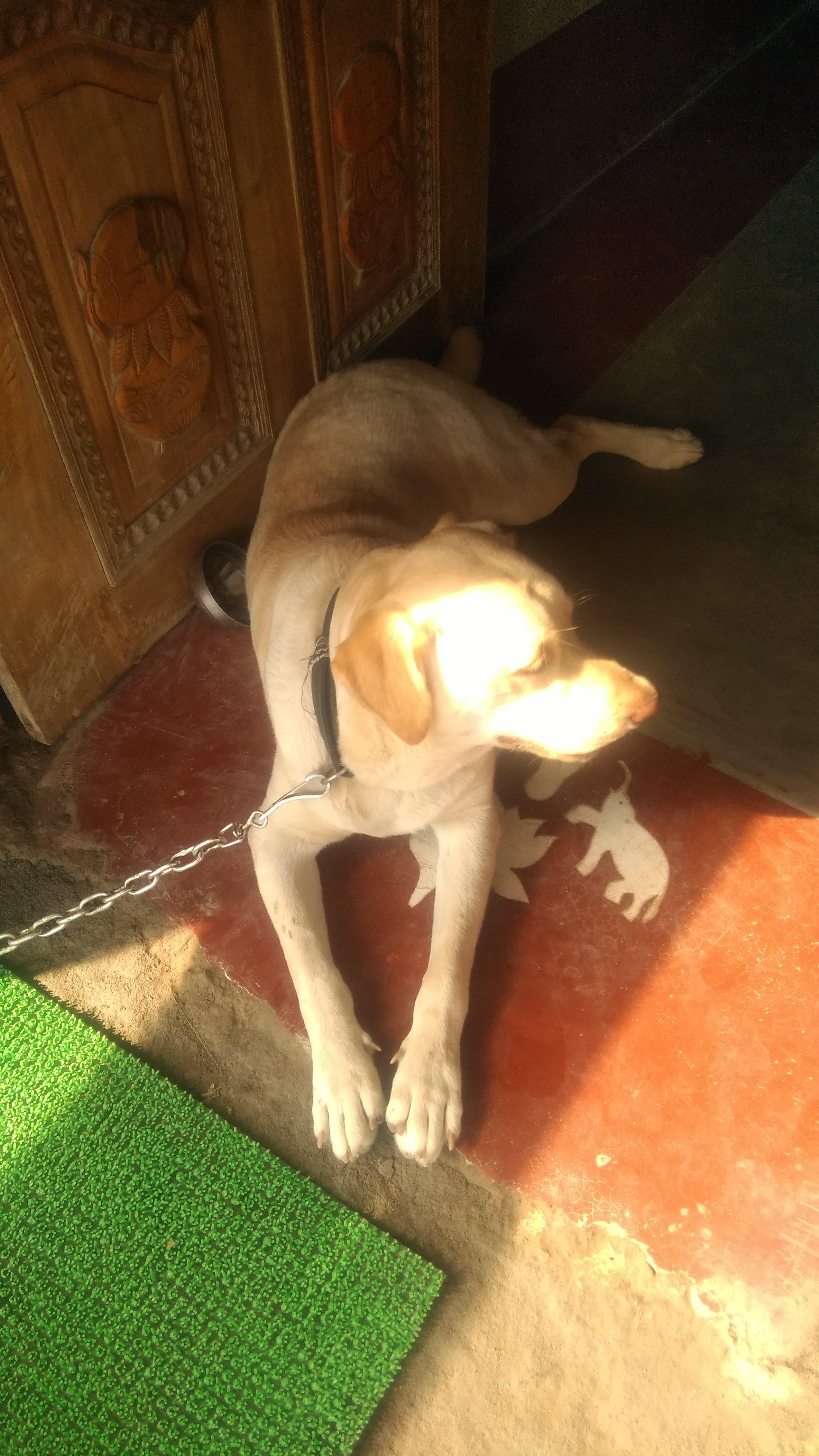 Question details sensitive content