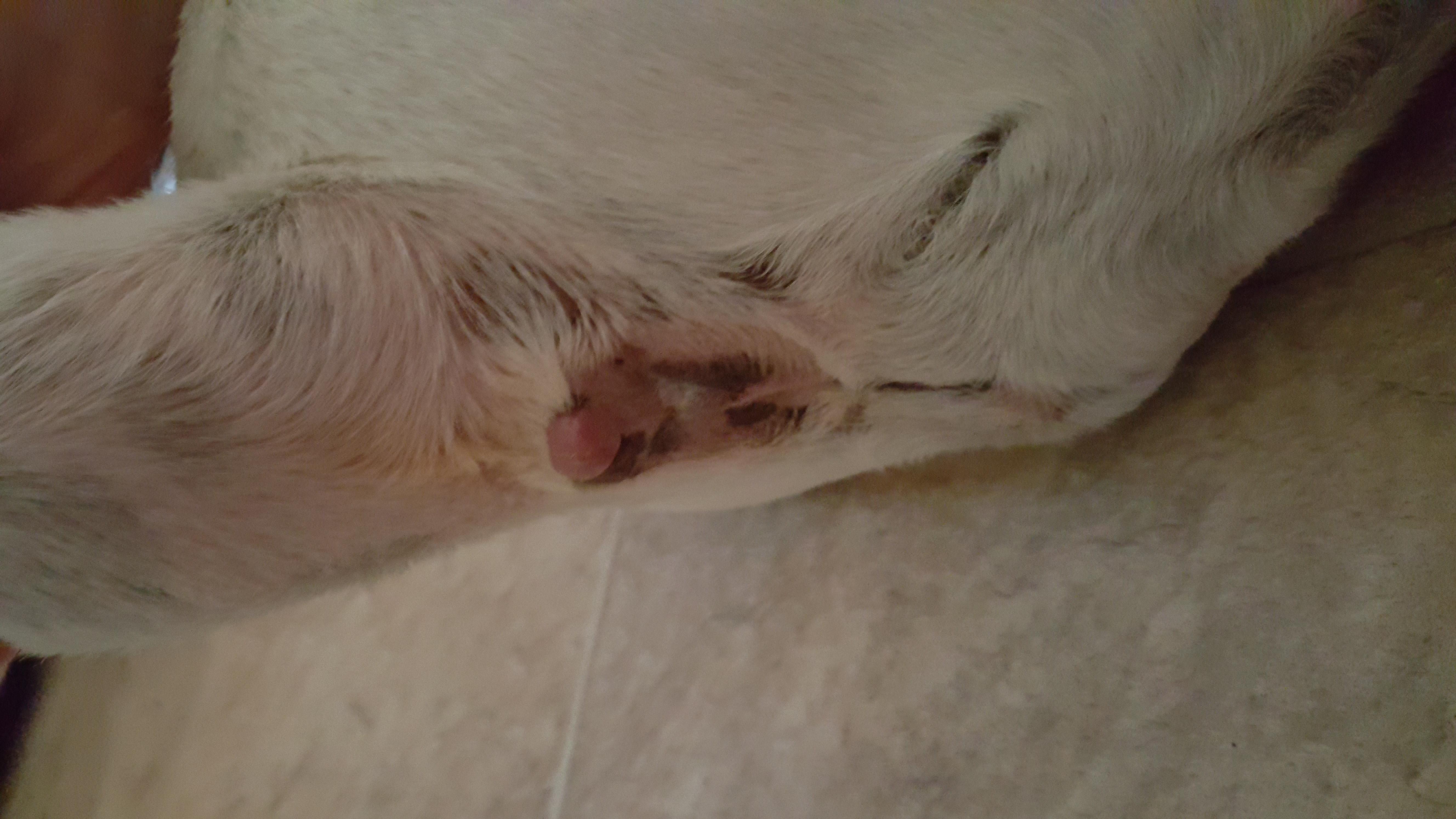 Question details sensitive content