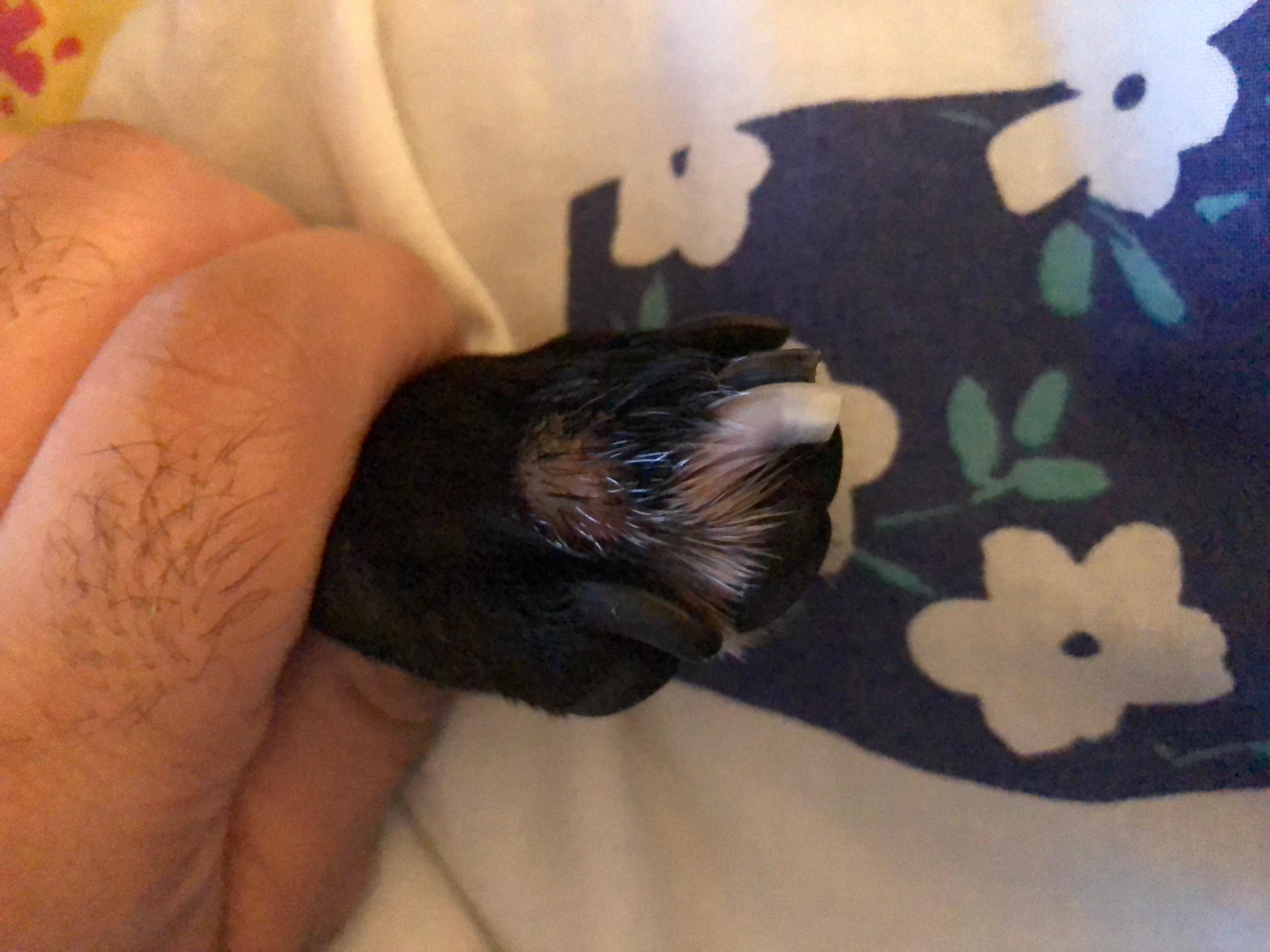 Question details sensitive content