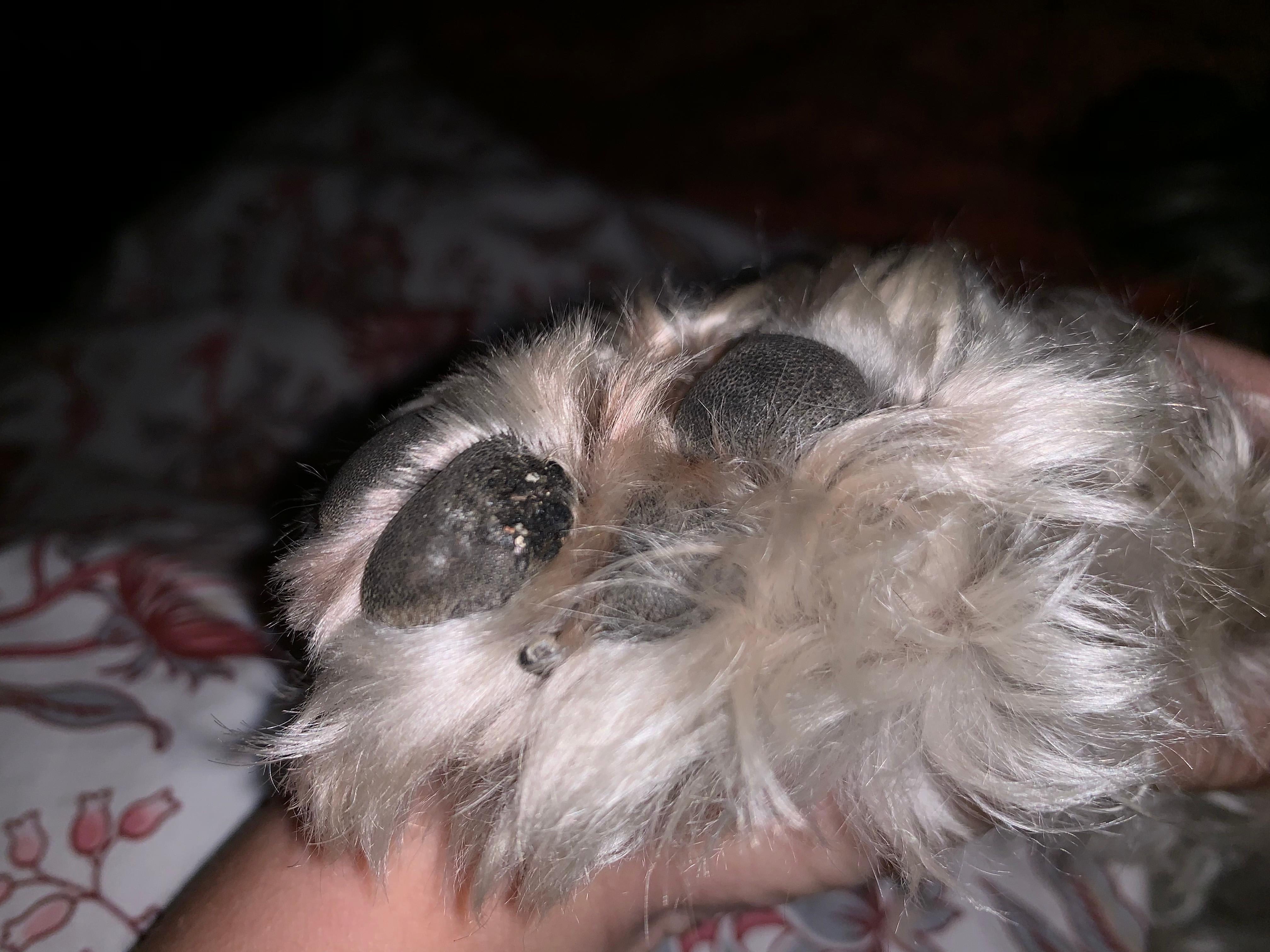 Question details sensitive content