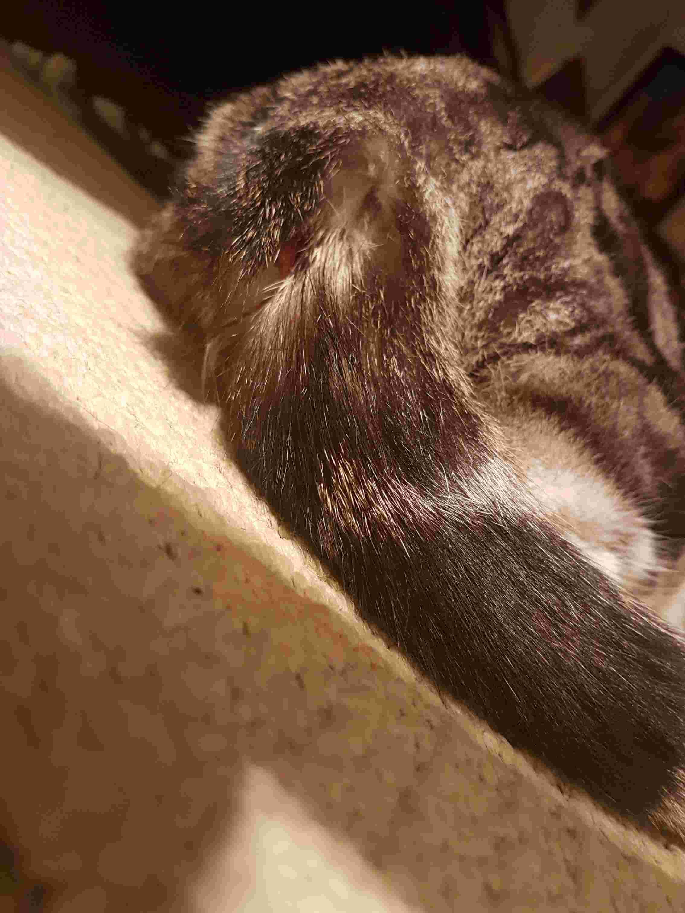 Question details sensitive content