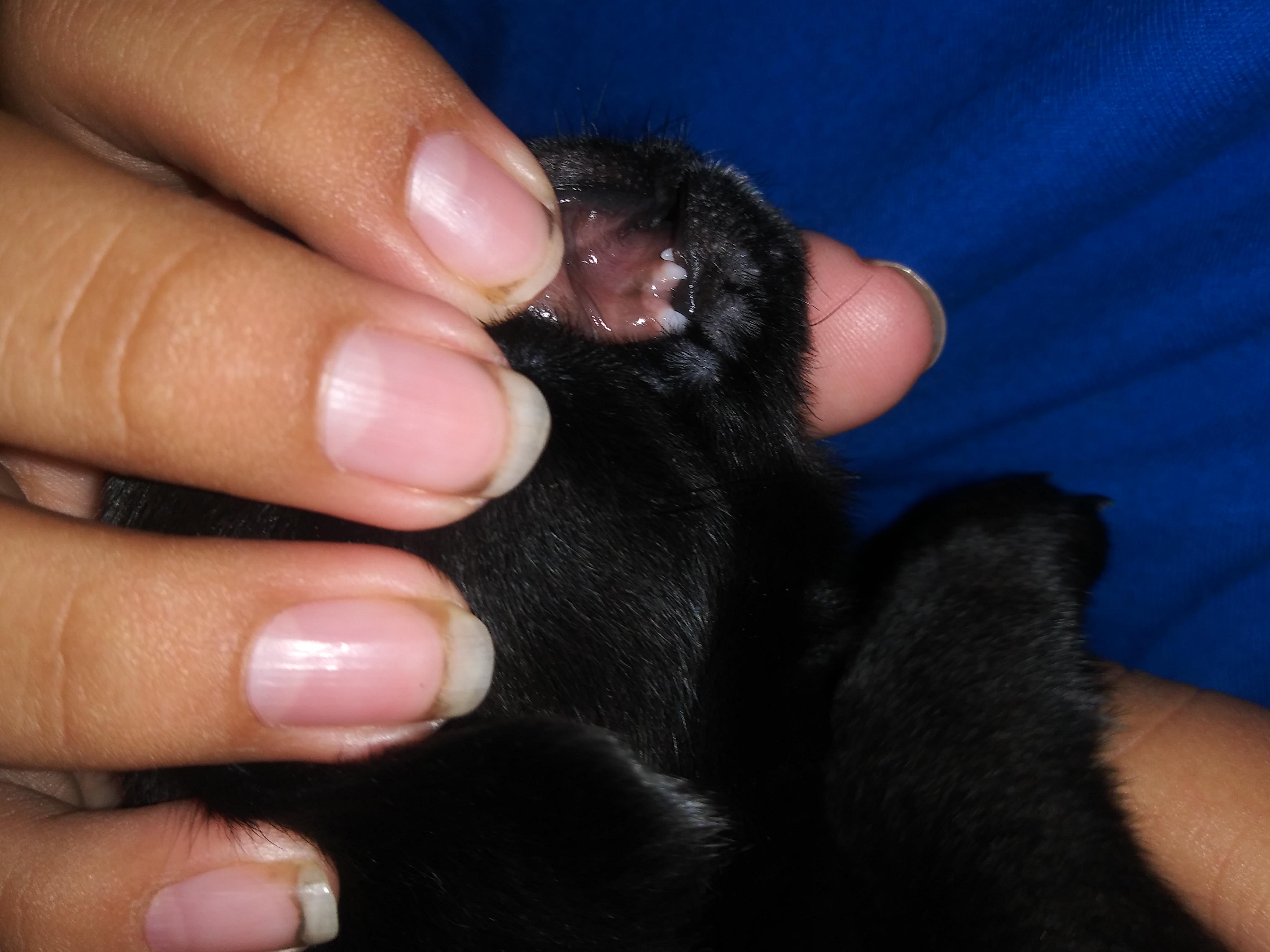 Question details sensitive content