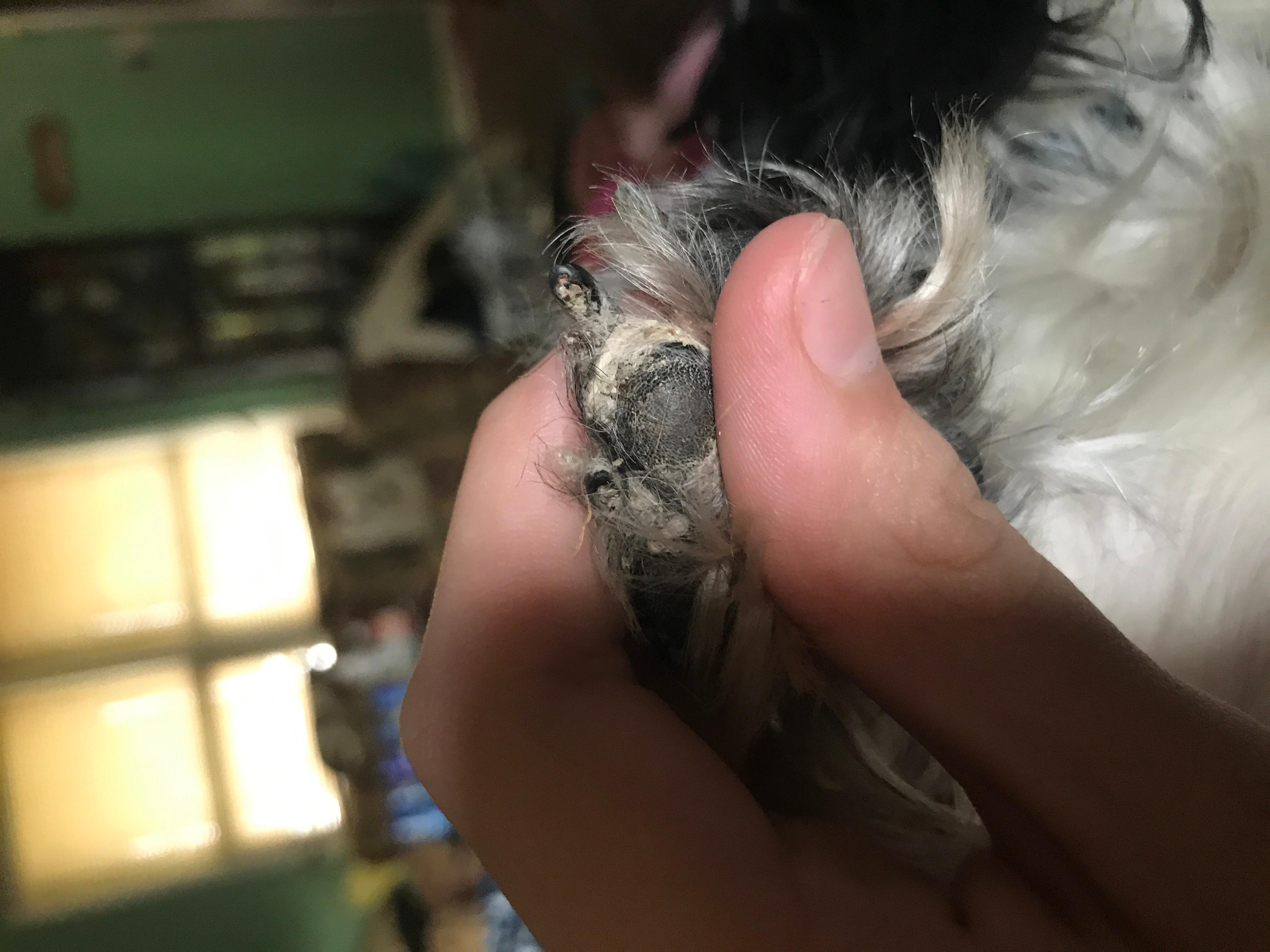 Question details sensitive content