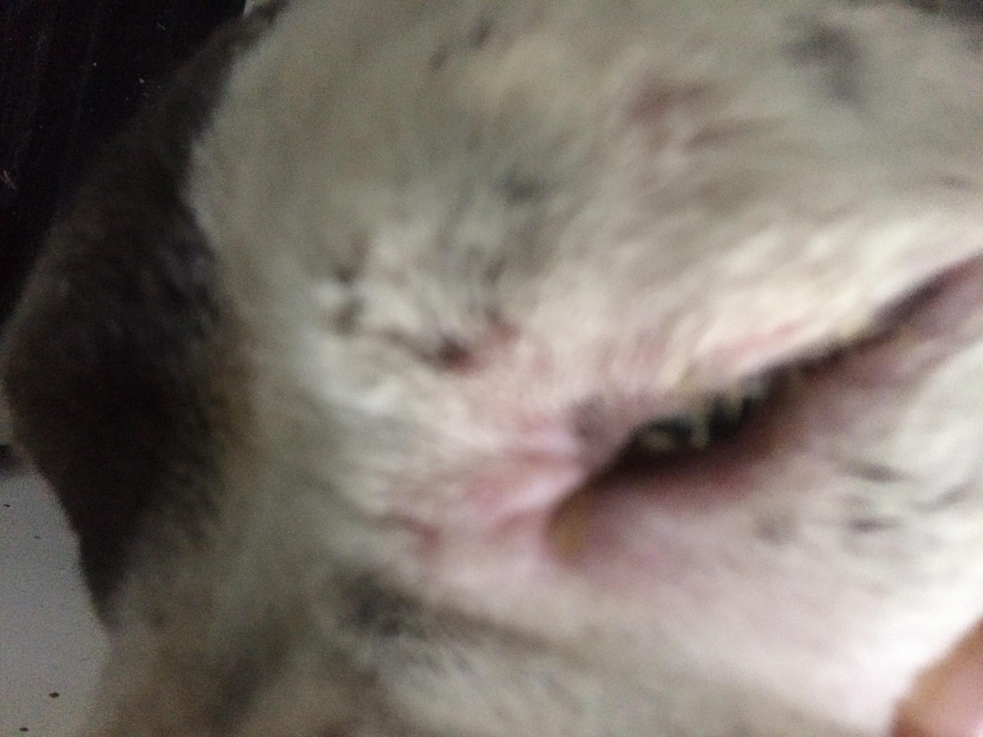 Question details sensitive content