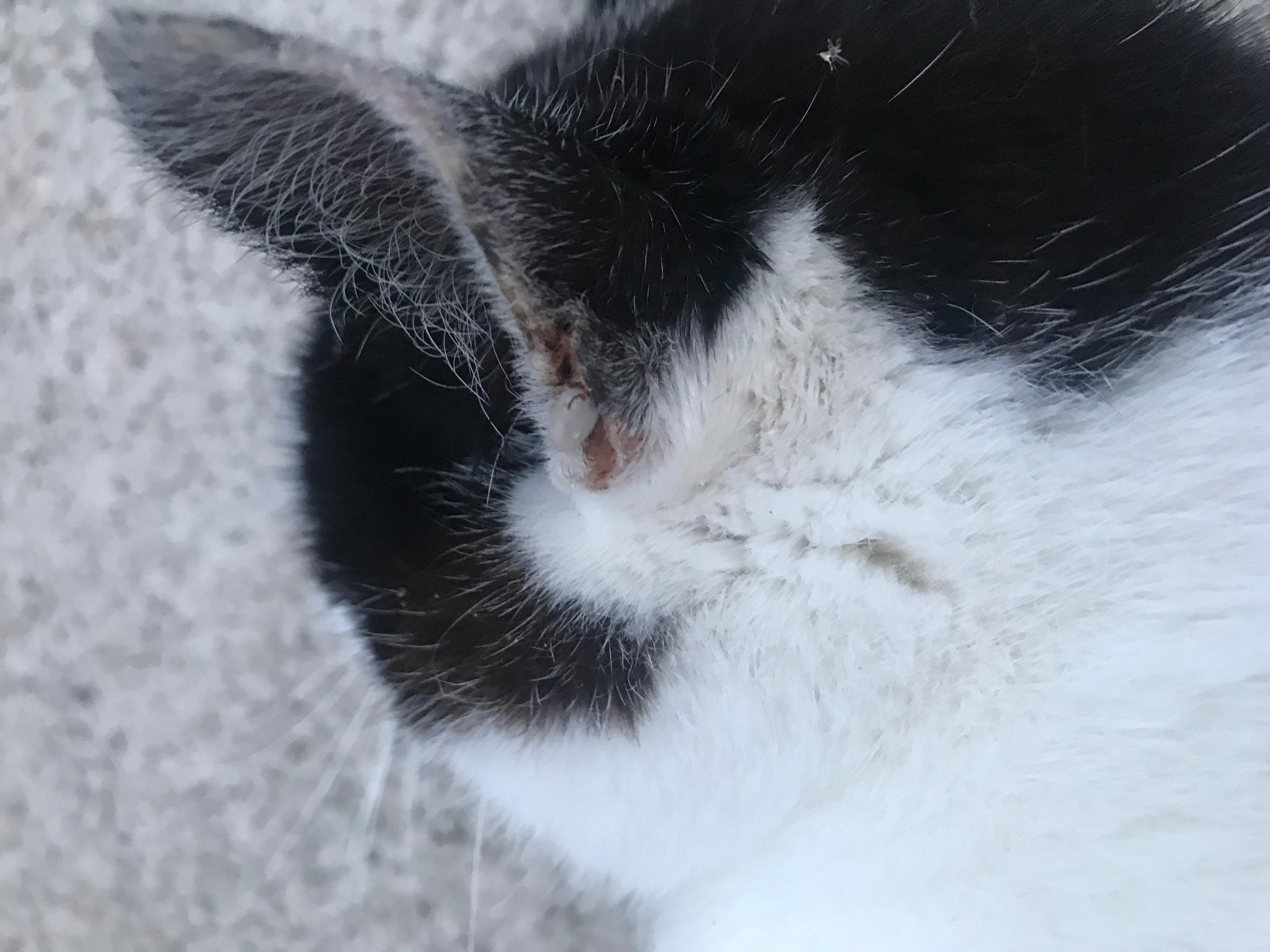 Question details sensitive content