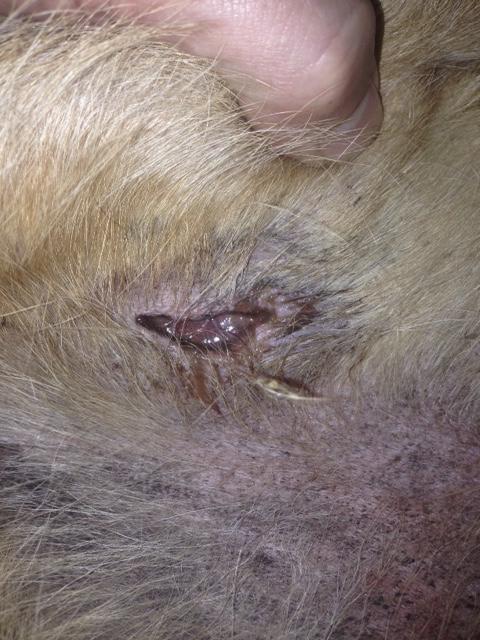 Question details sensitive content