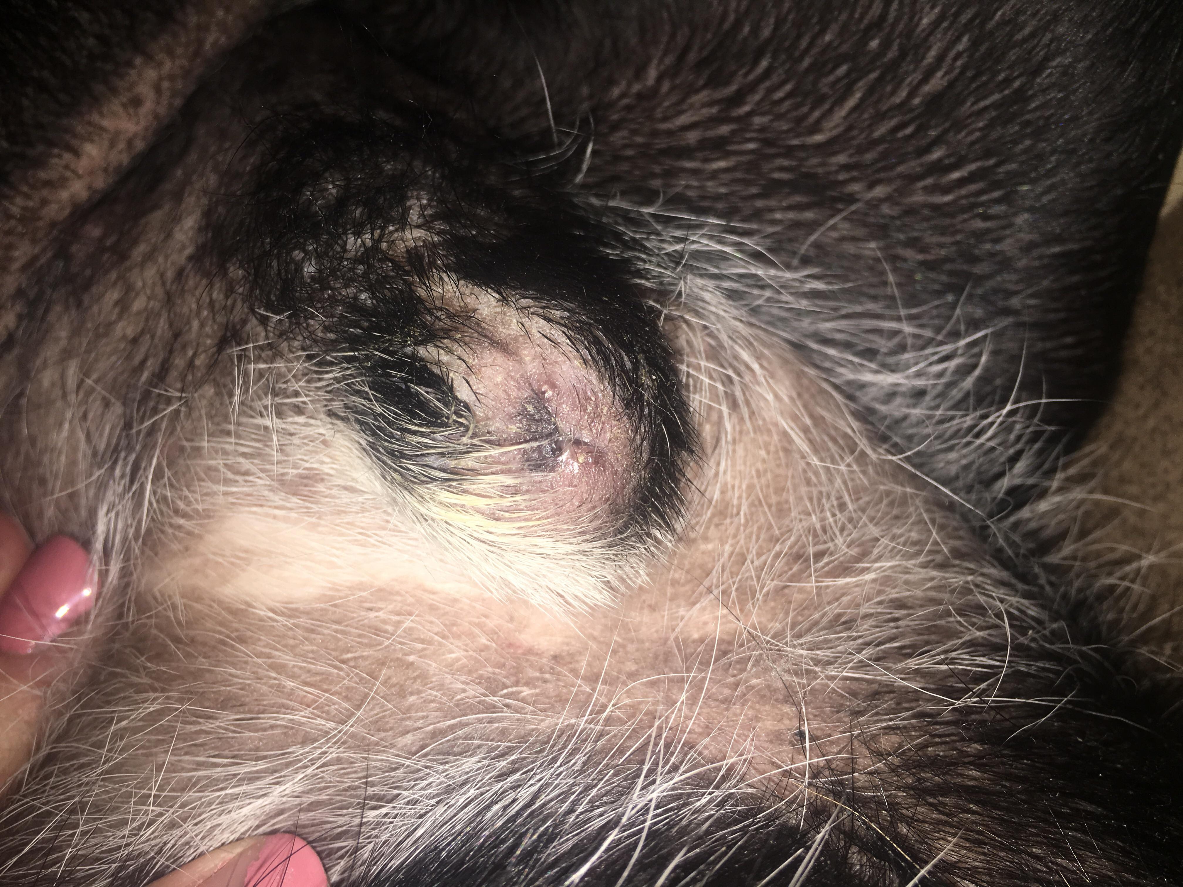 Question details sensitive content