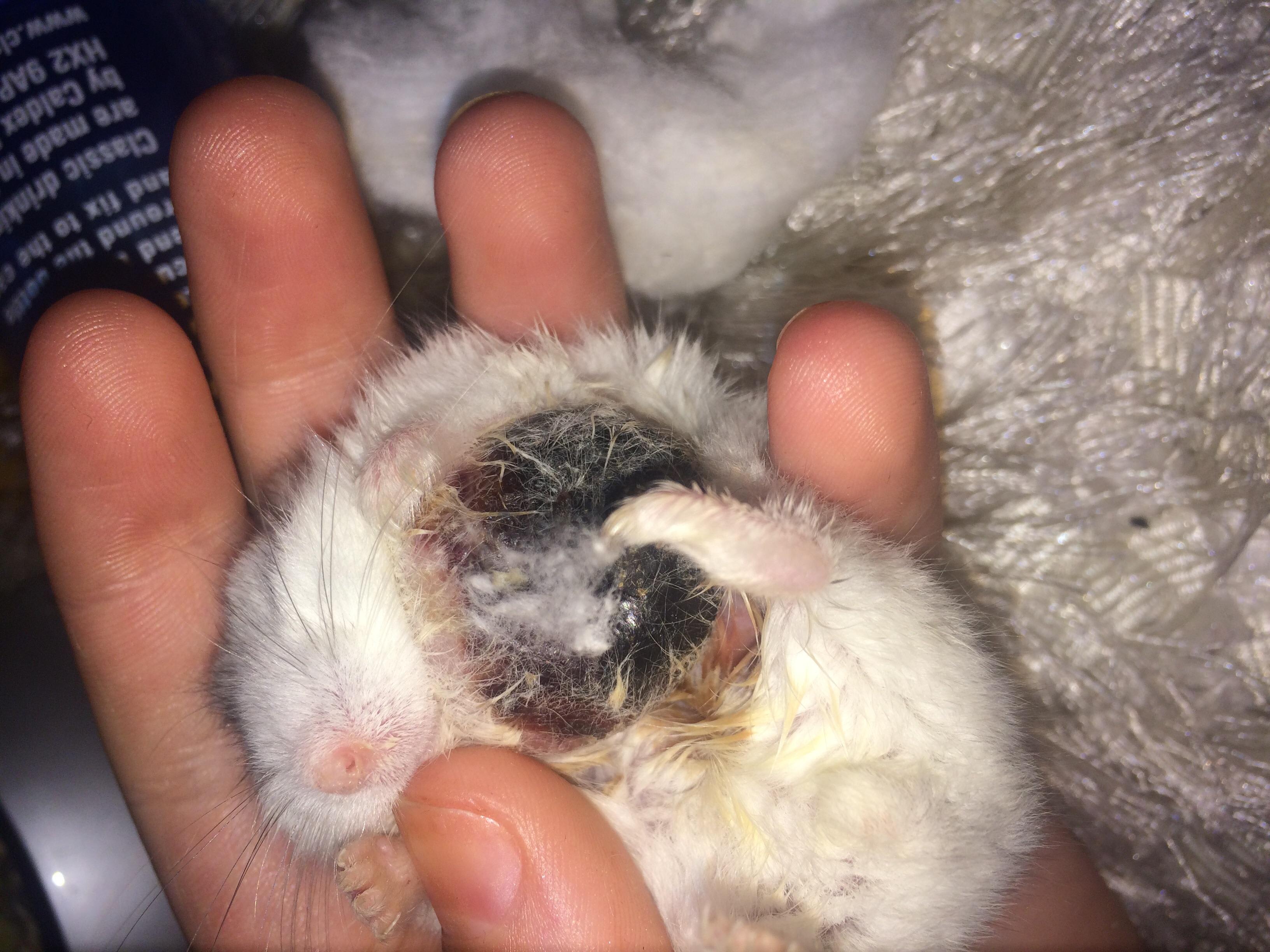 Question details sensitive content