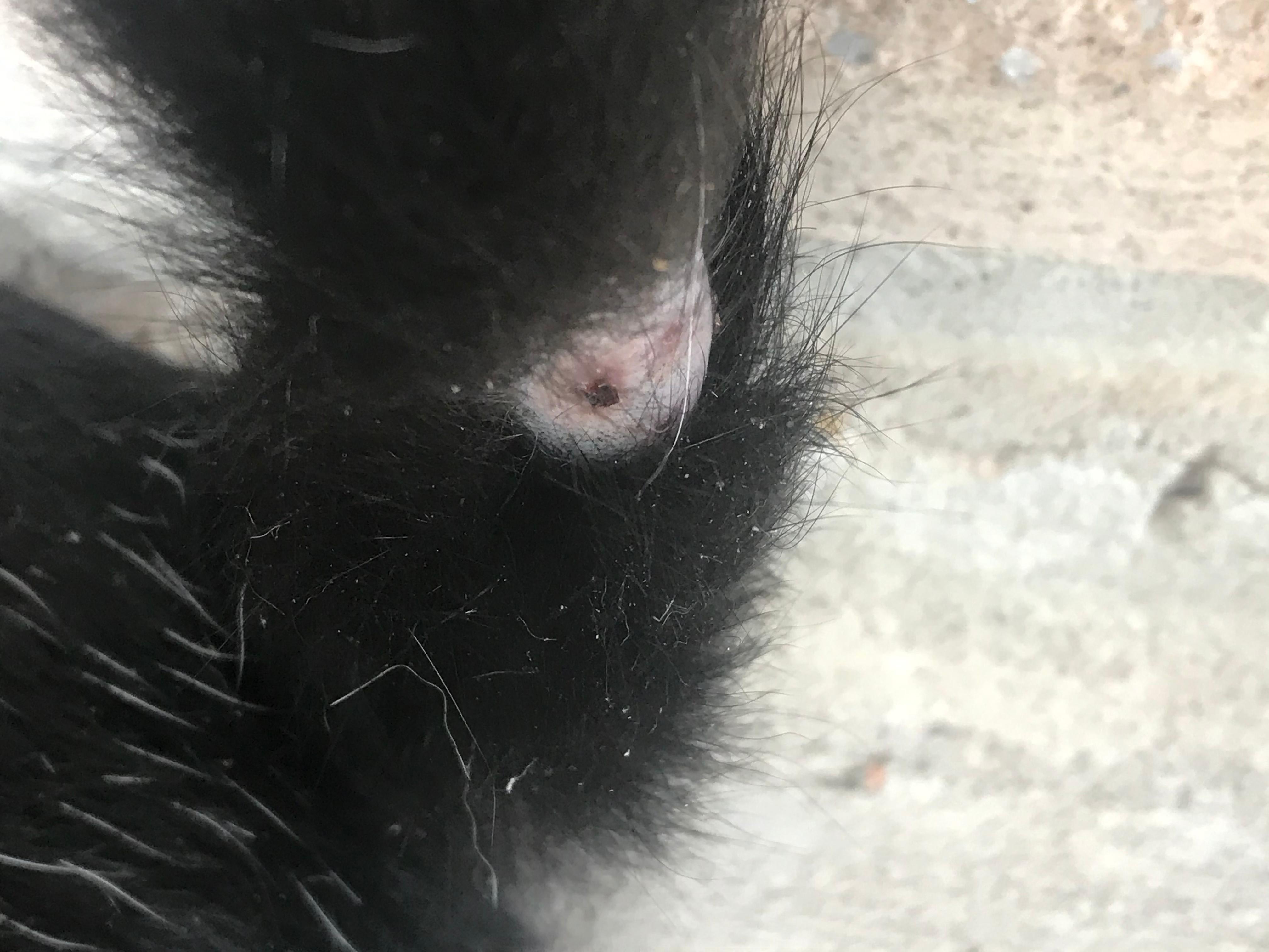 Question details sensitive content