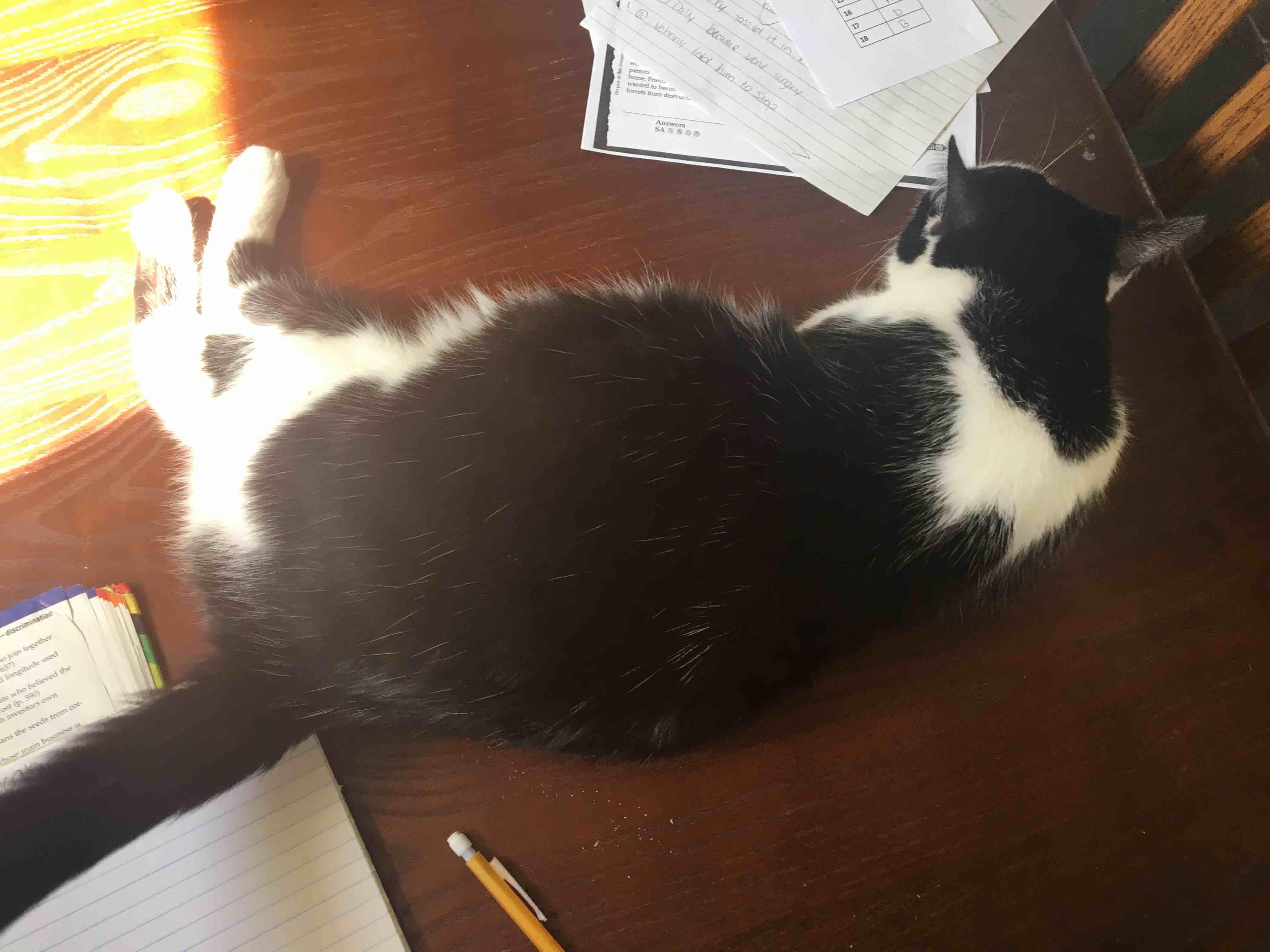 Question details sensitive content