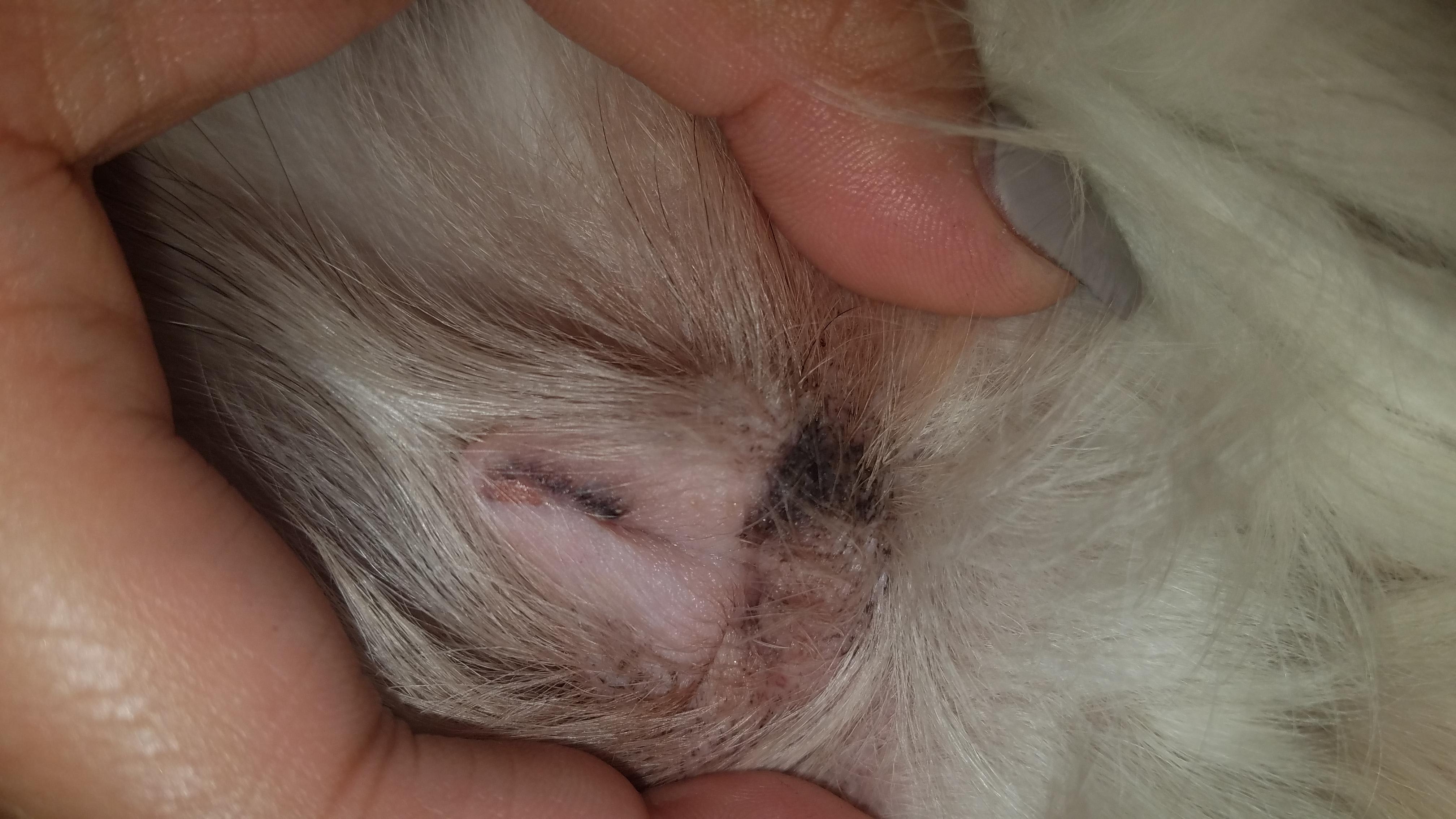 Question details sensitive content