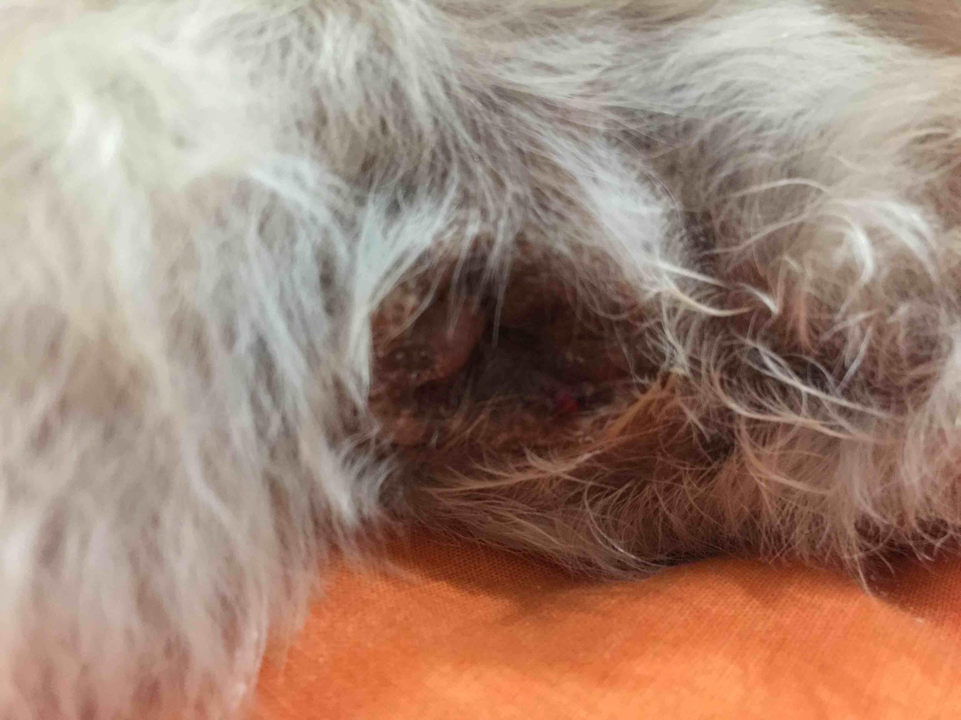 Question details sensitive content