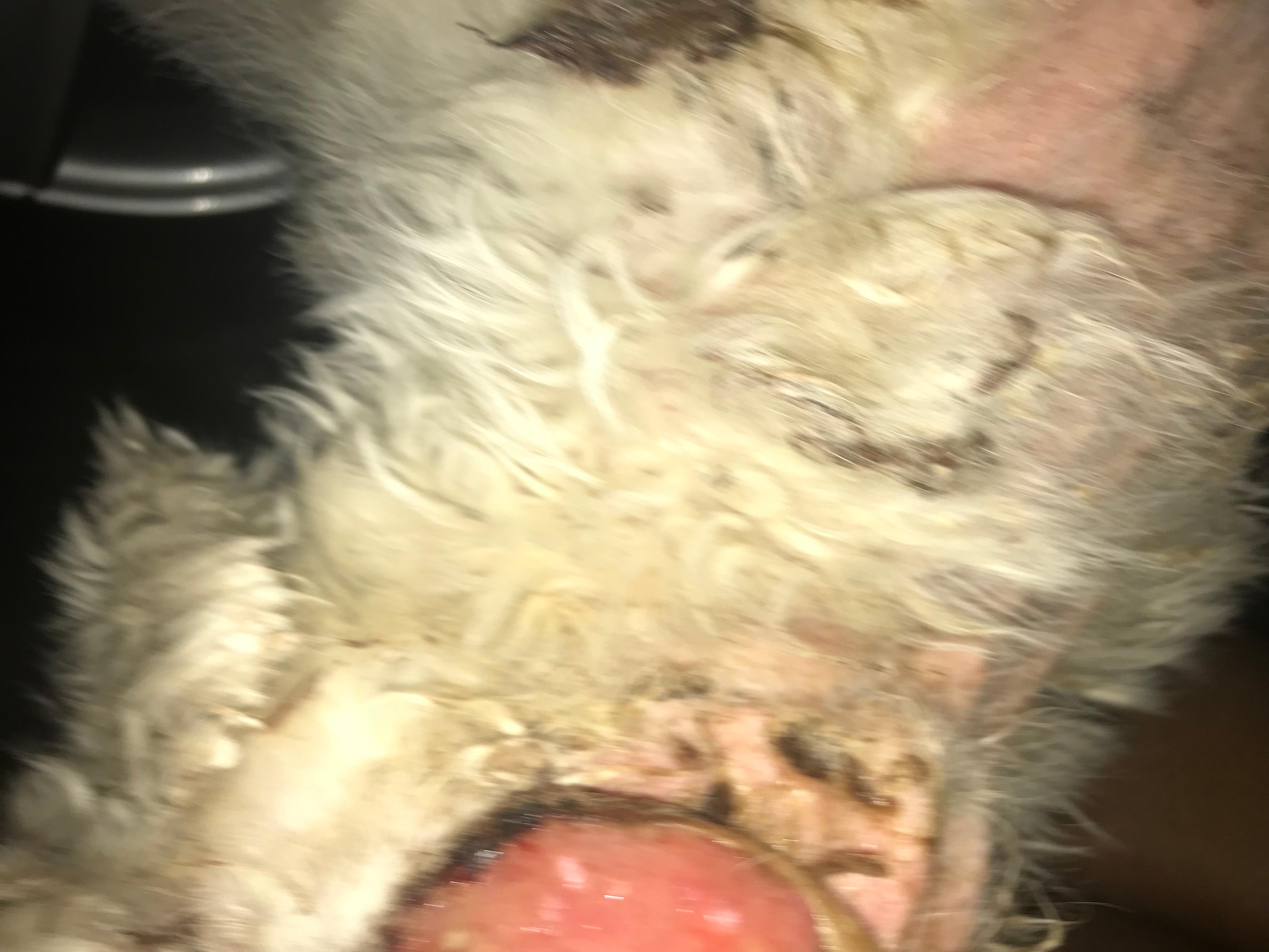 Question details sensitive content