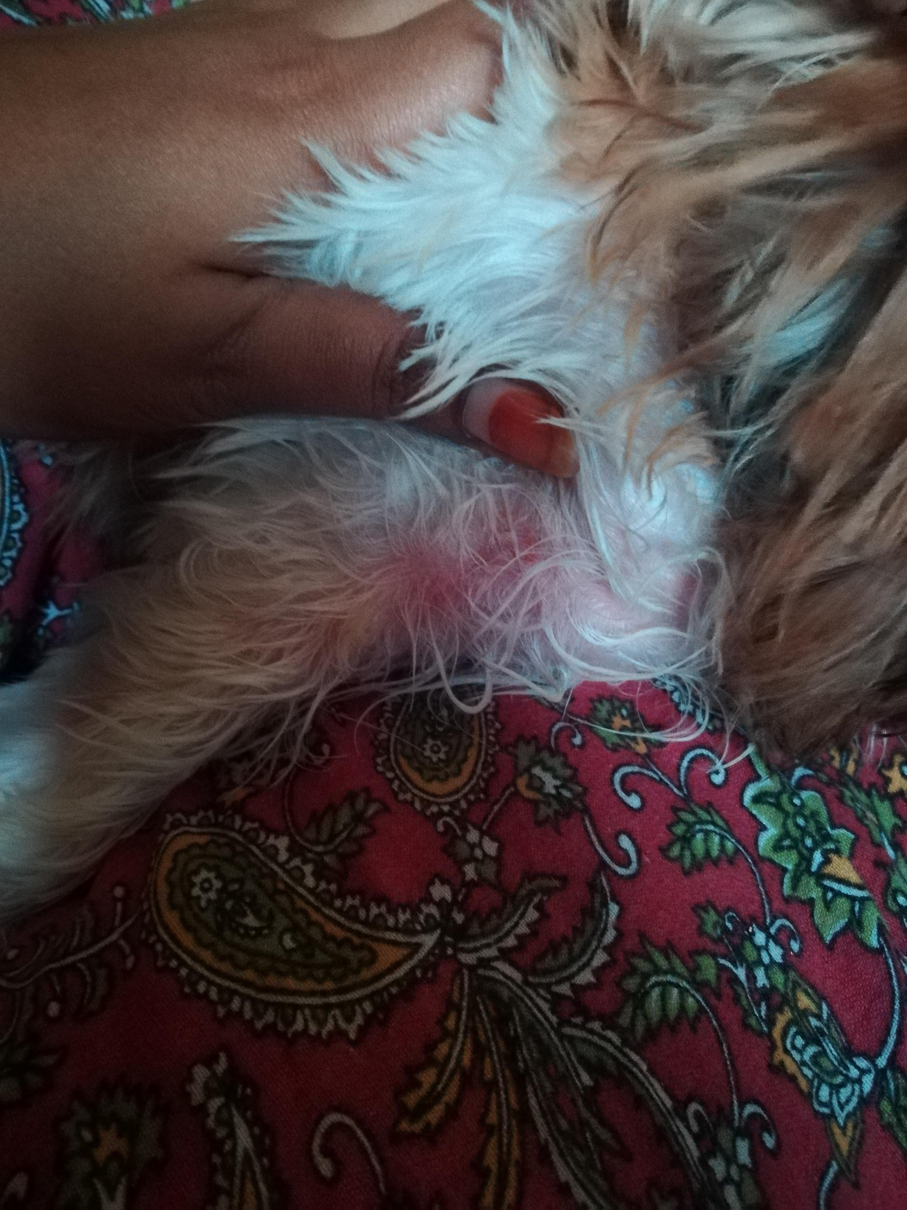 Question details sensitive content