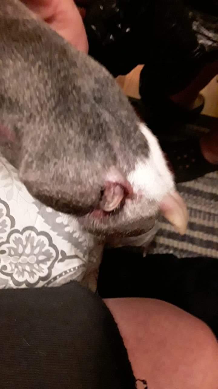 Question details sensitive content