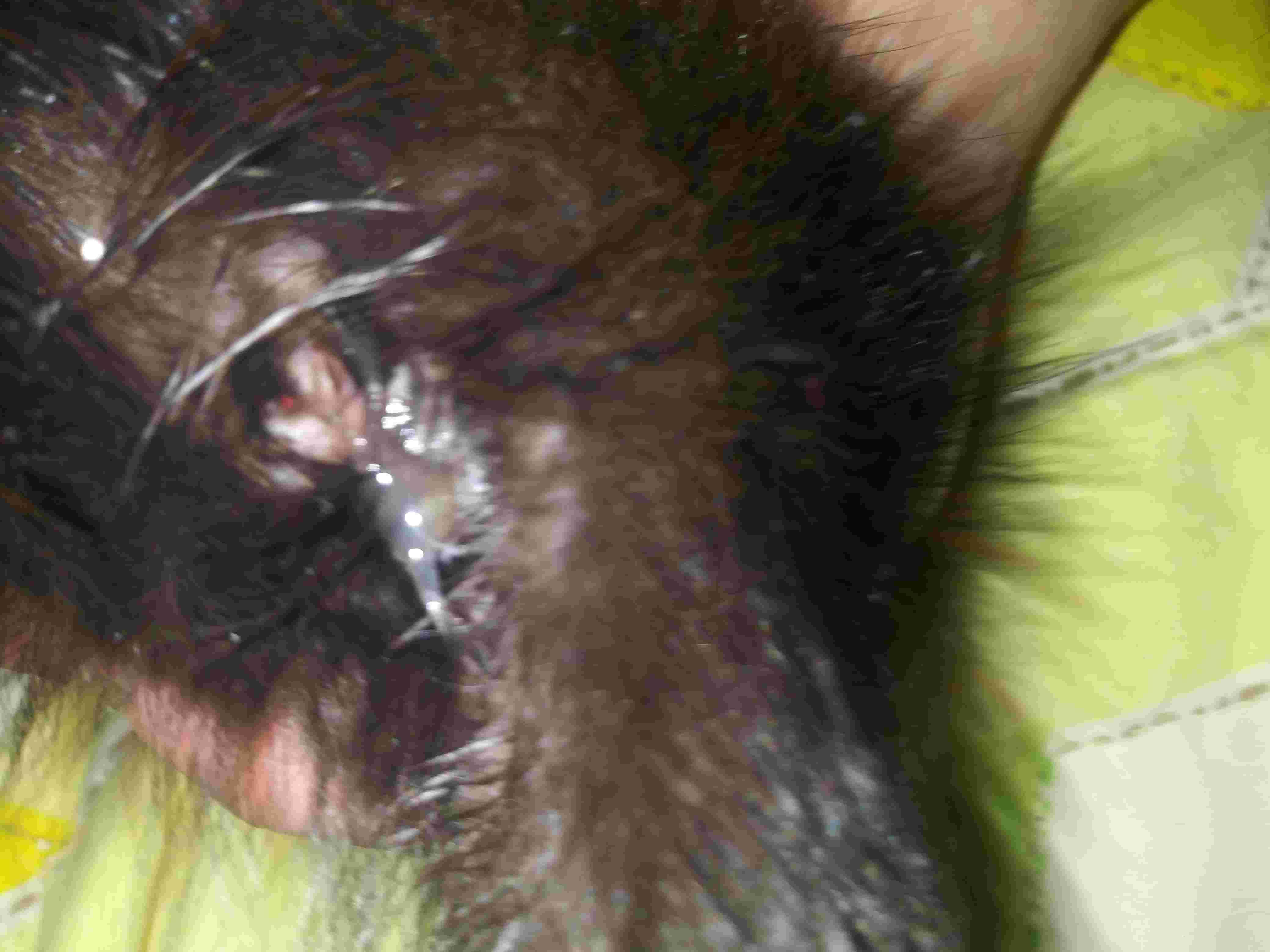 Question details sensitive content