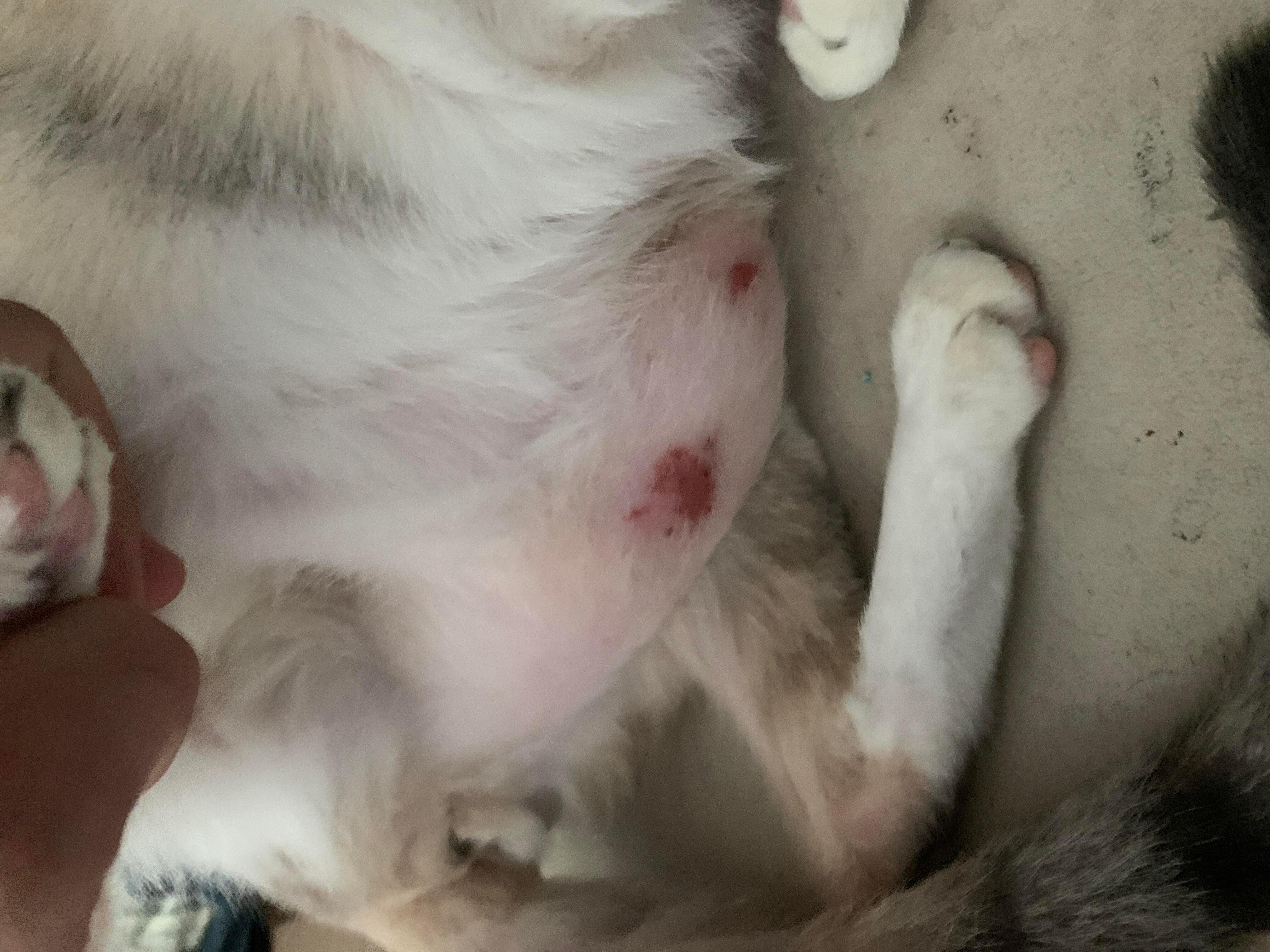 Question details sensitive content