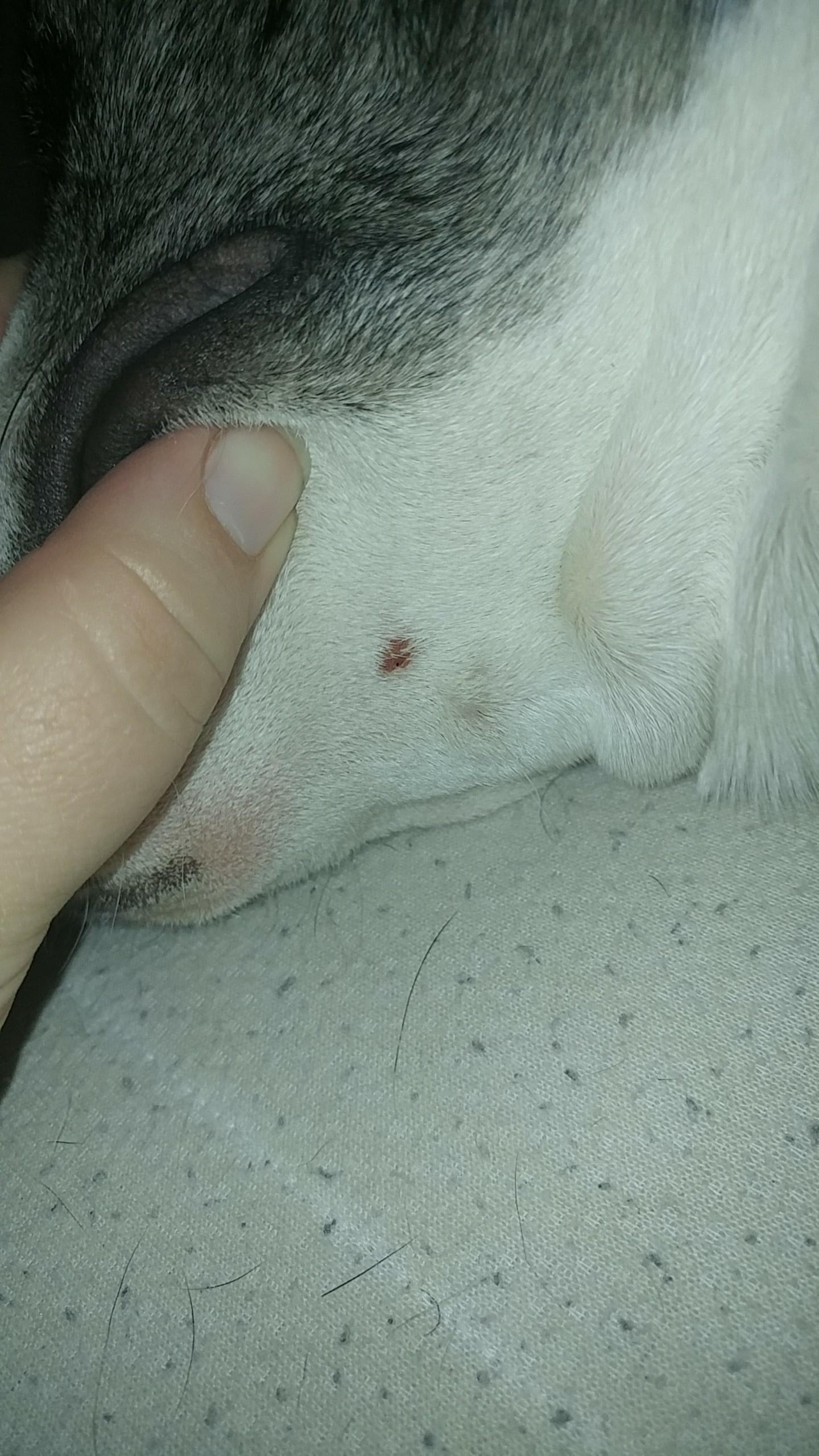 Question details sensitive content