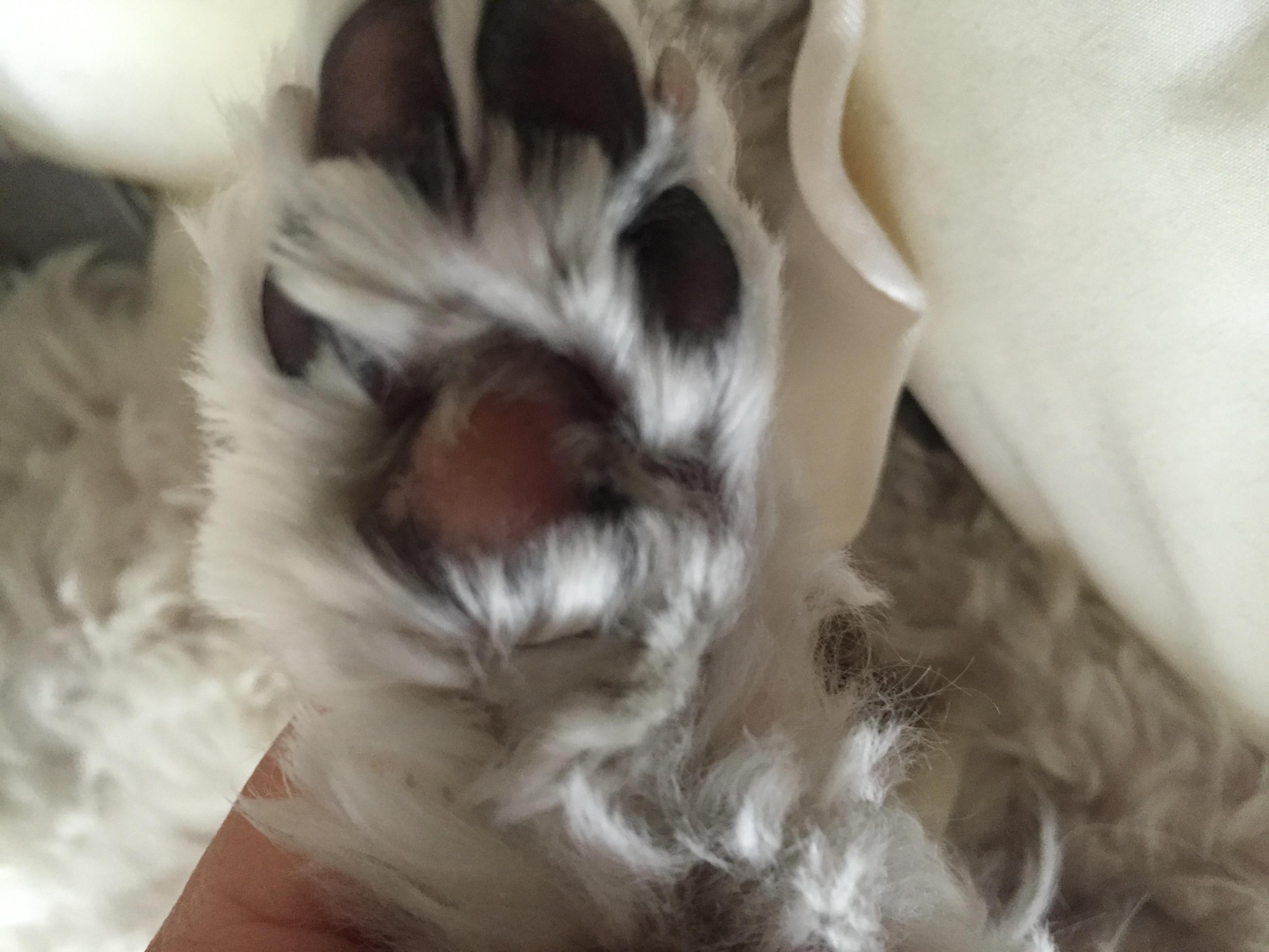 Question details sensitive content