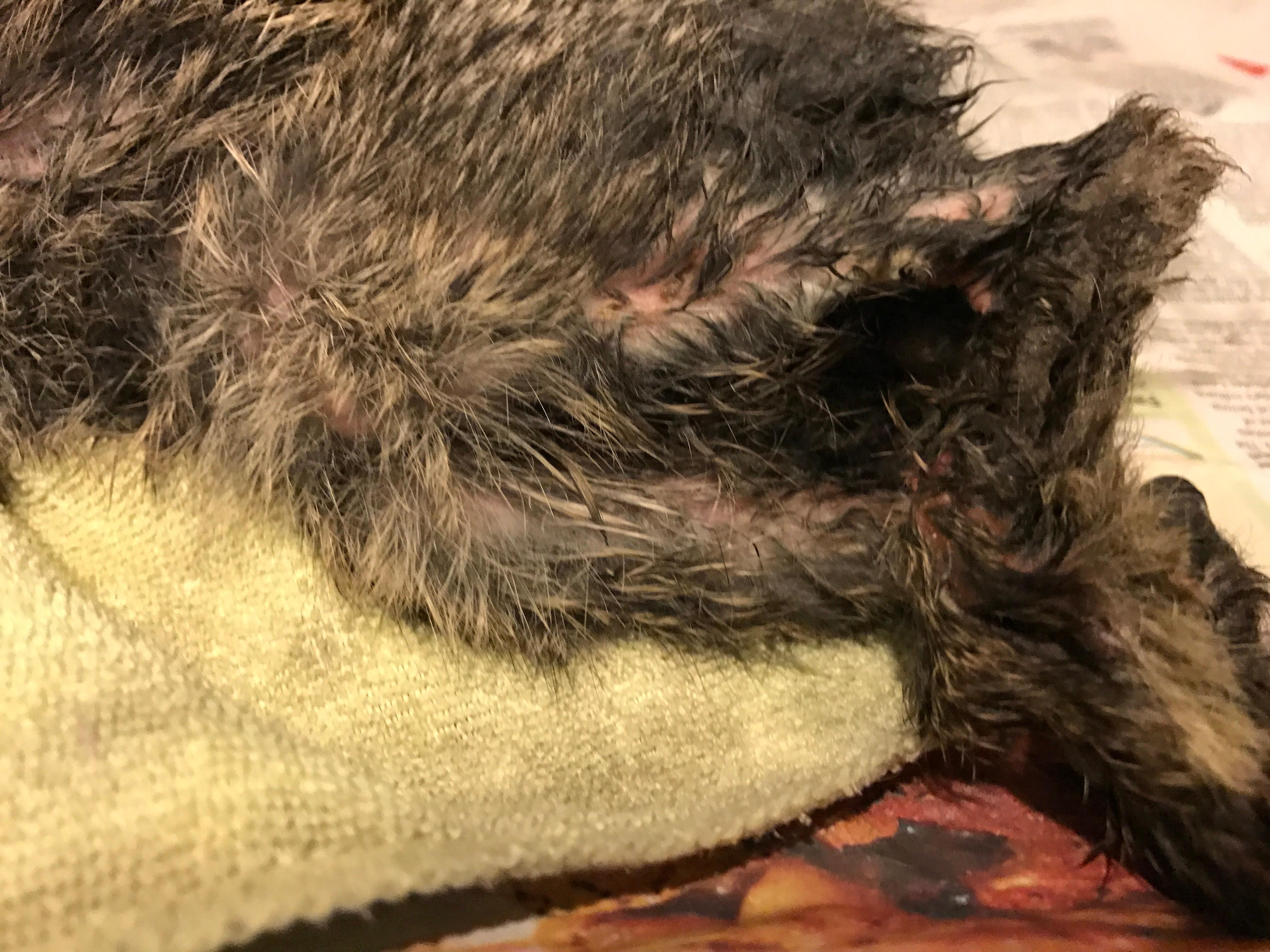 Question details sensitive content