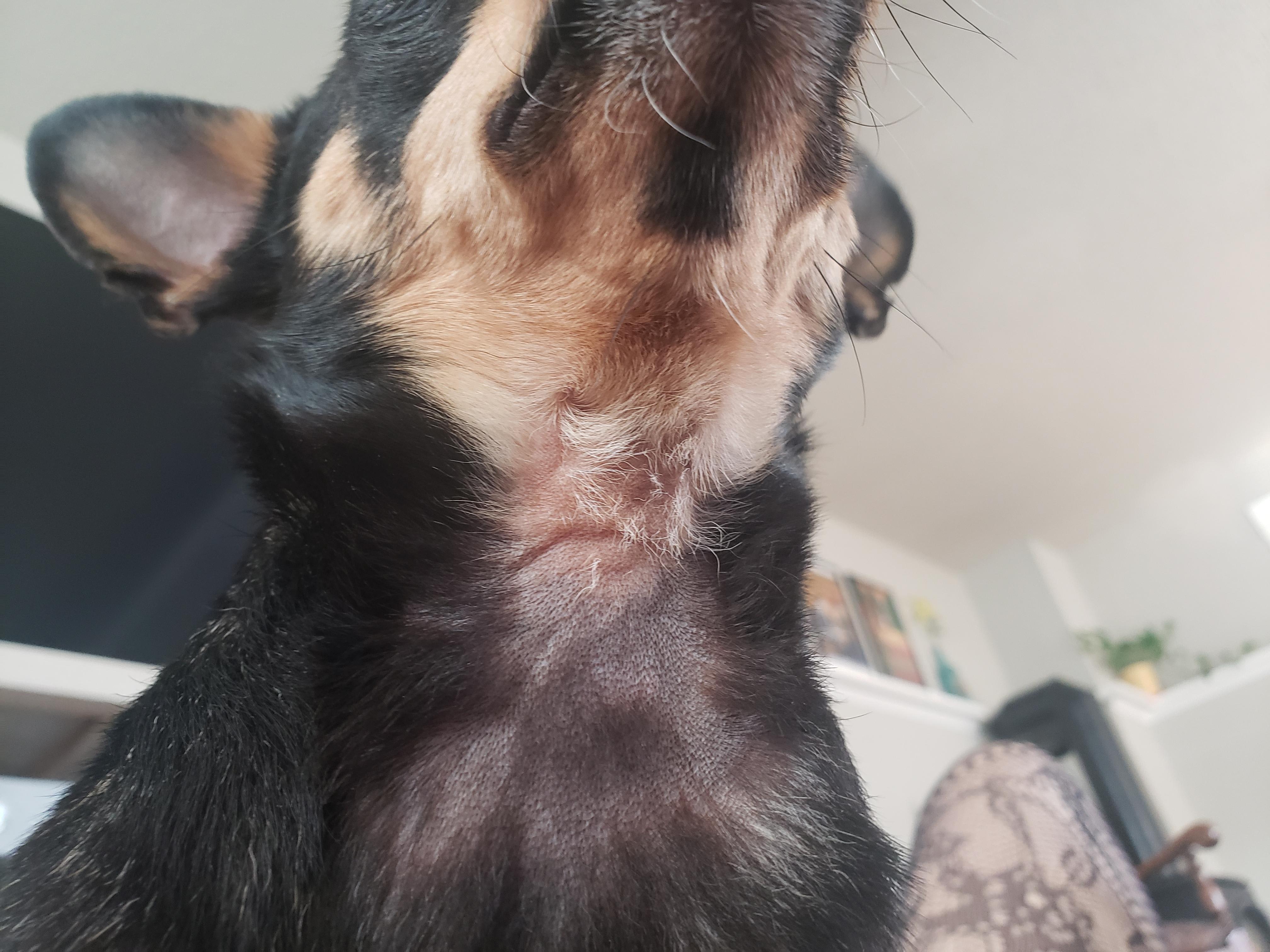 Question details sensitive content