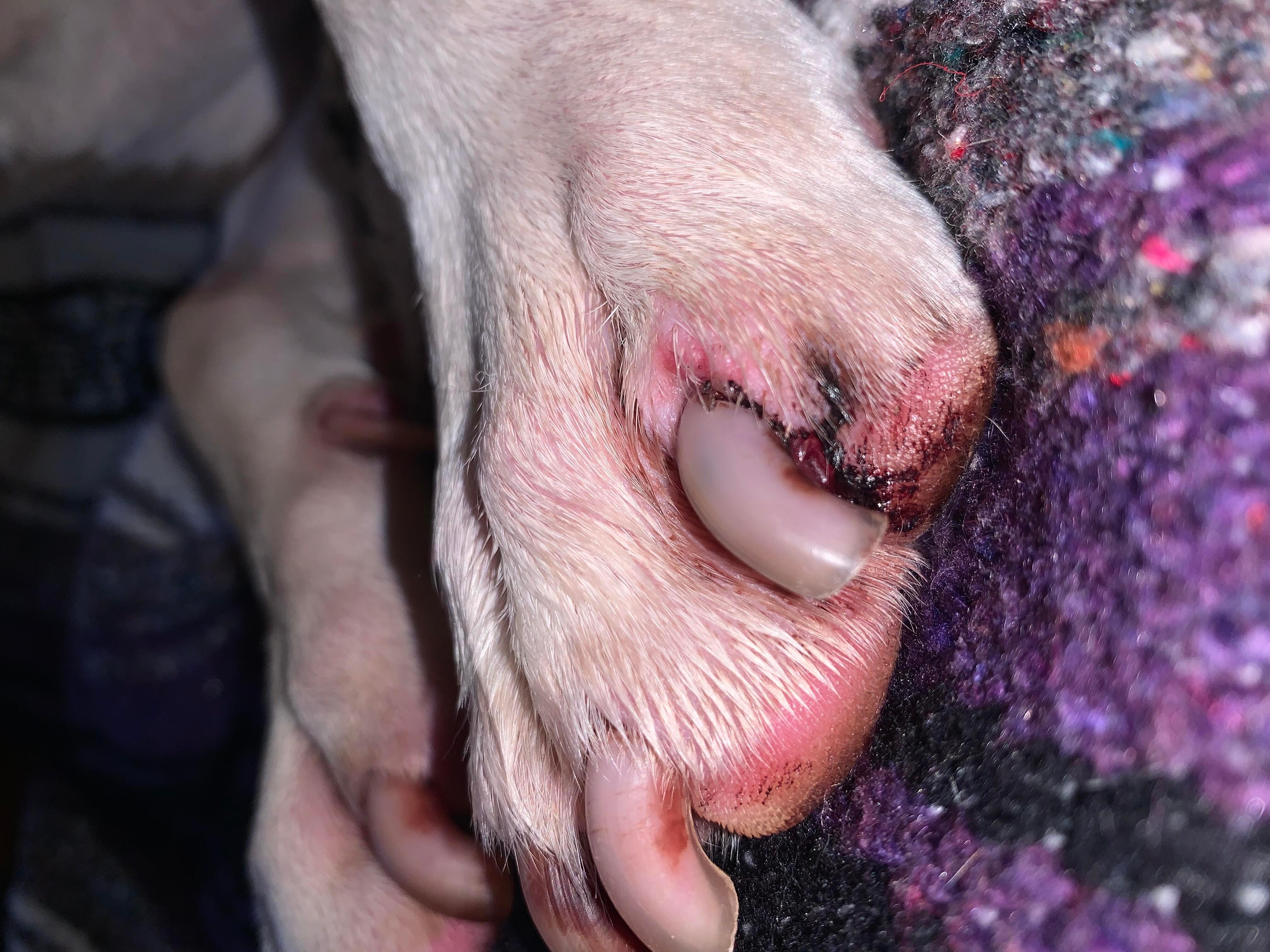 Question details sensitive content