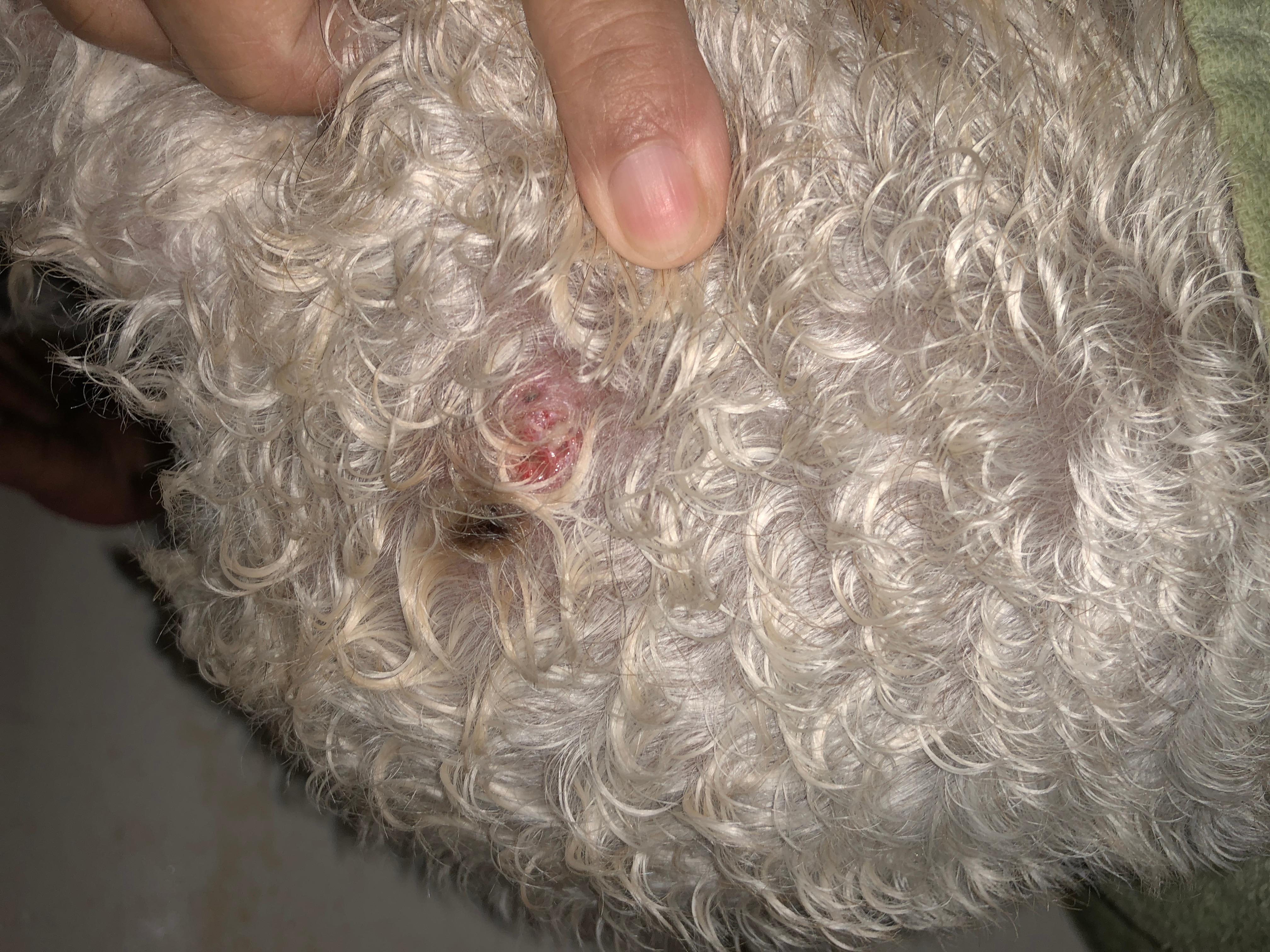 Question details sensitive content