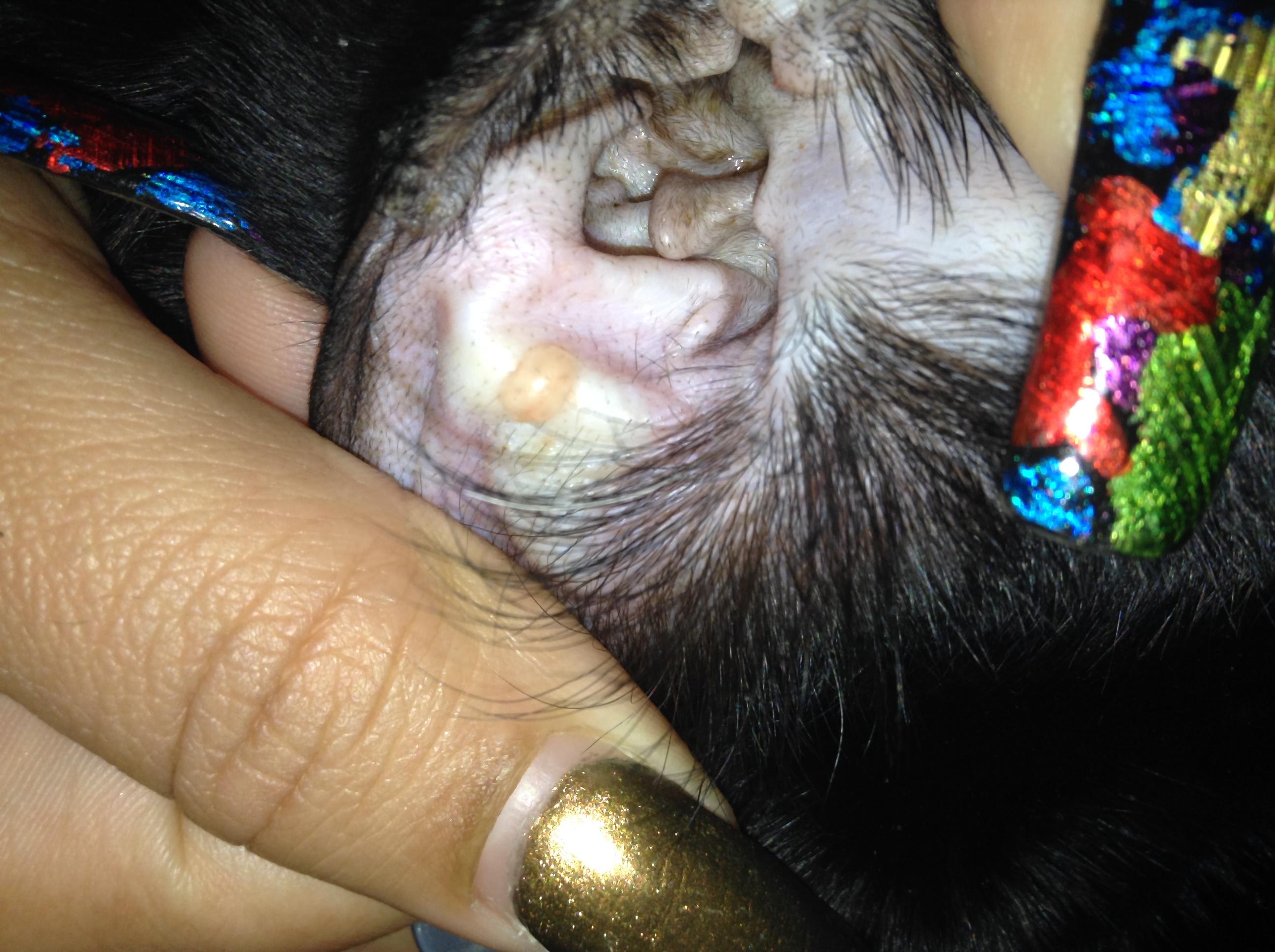 Question details sensitive content