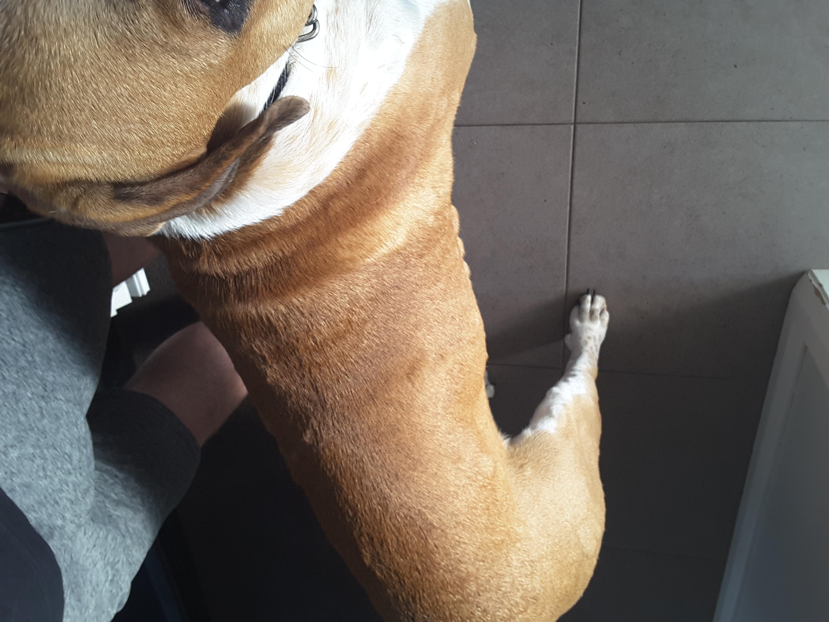 Question details sensitive content