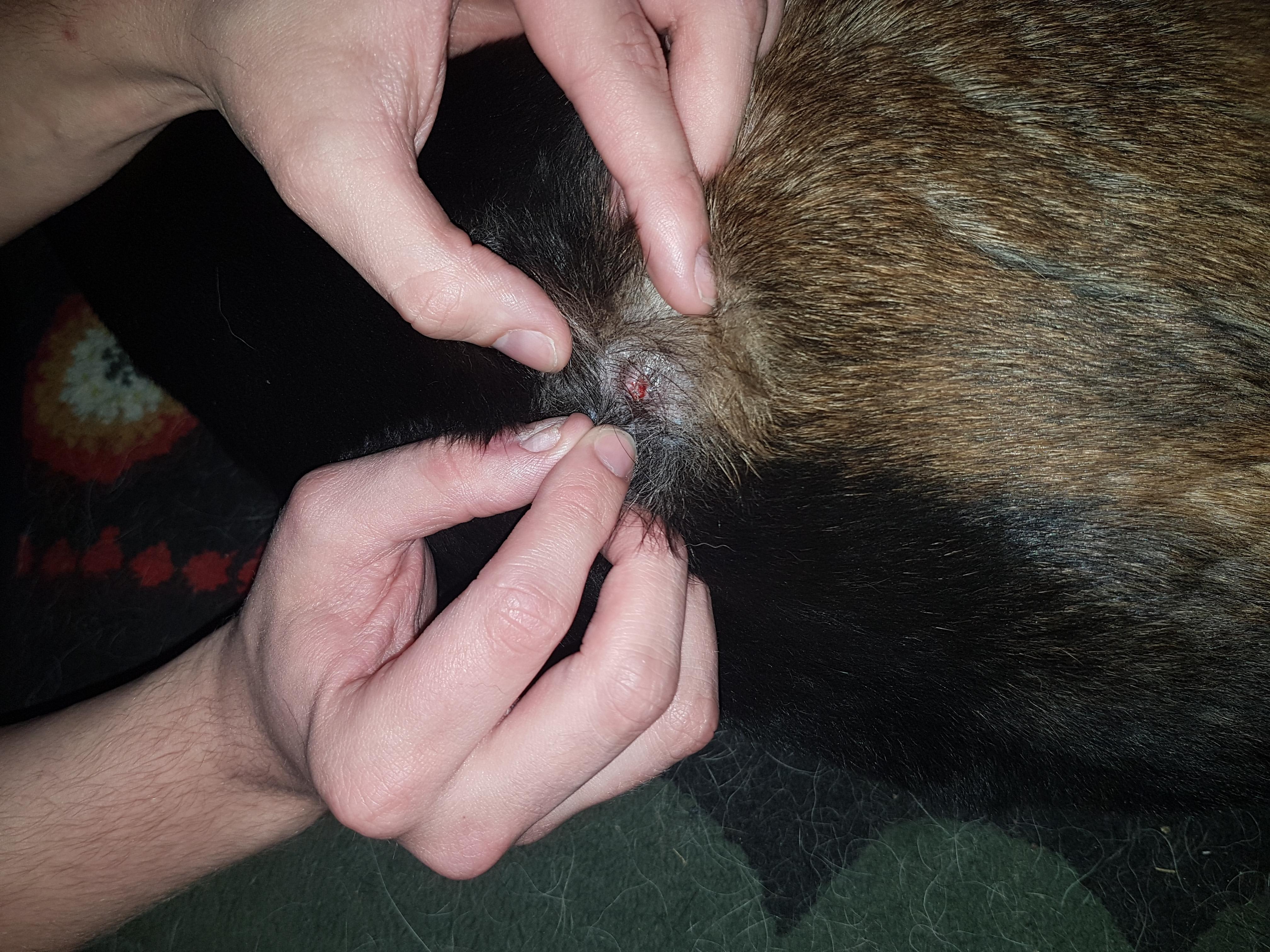 Question details sensitive content