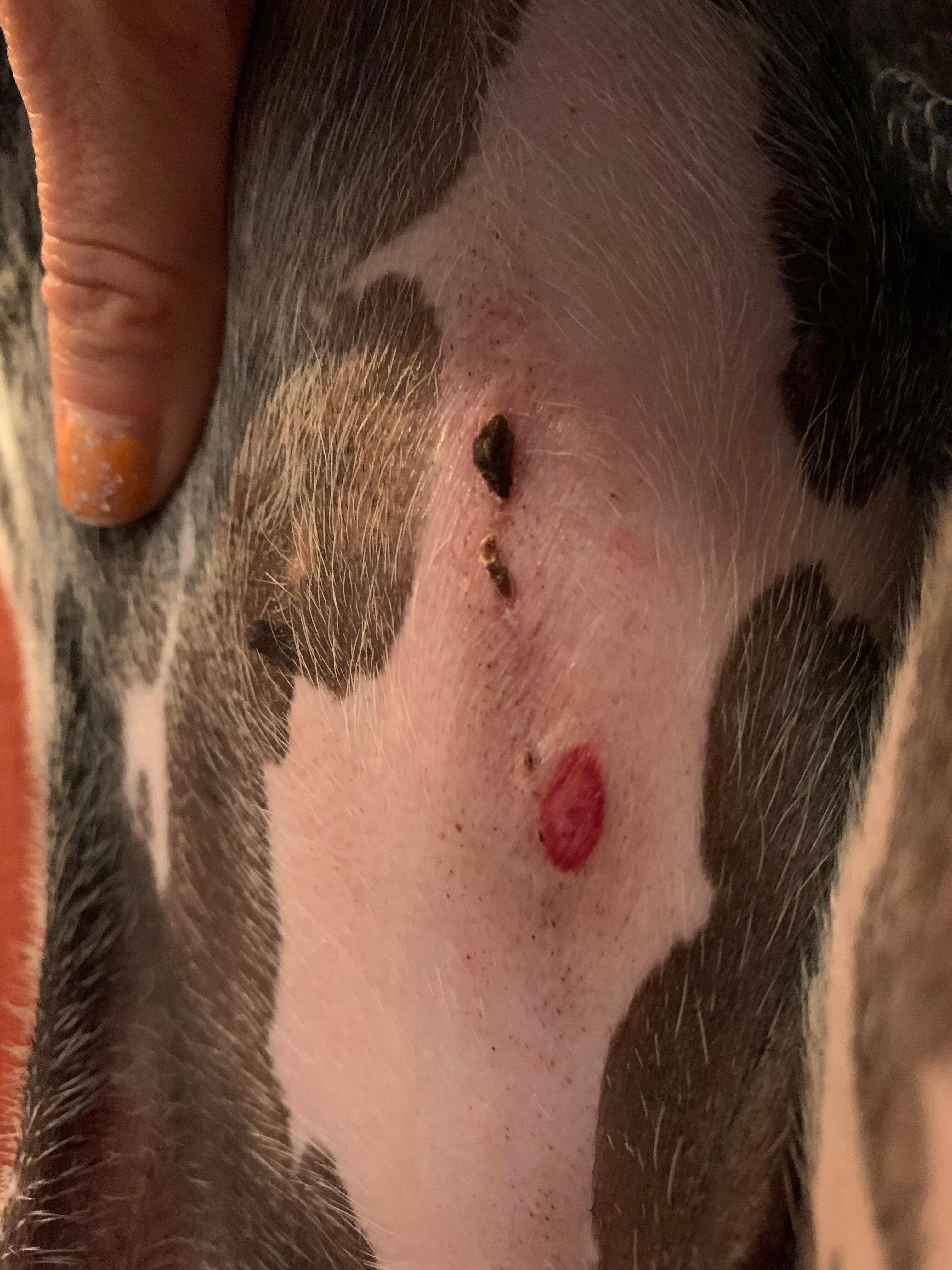 Question details sensitive content